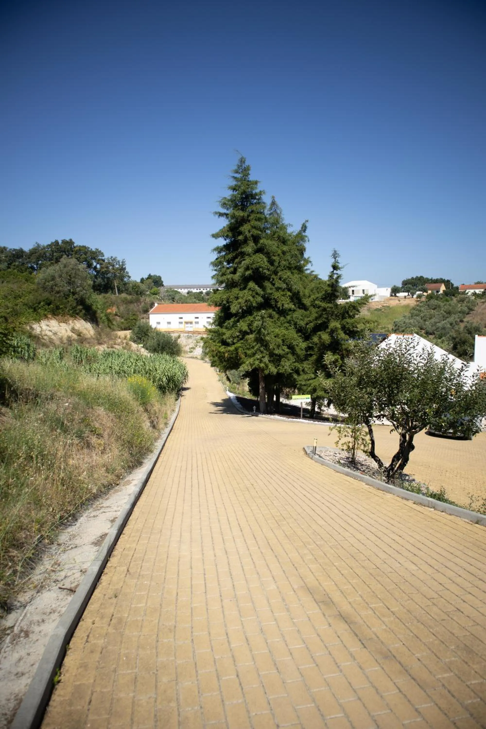 Garden in Aires da Serra Hotel