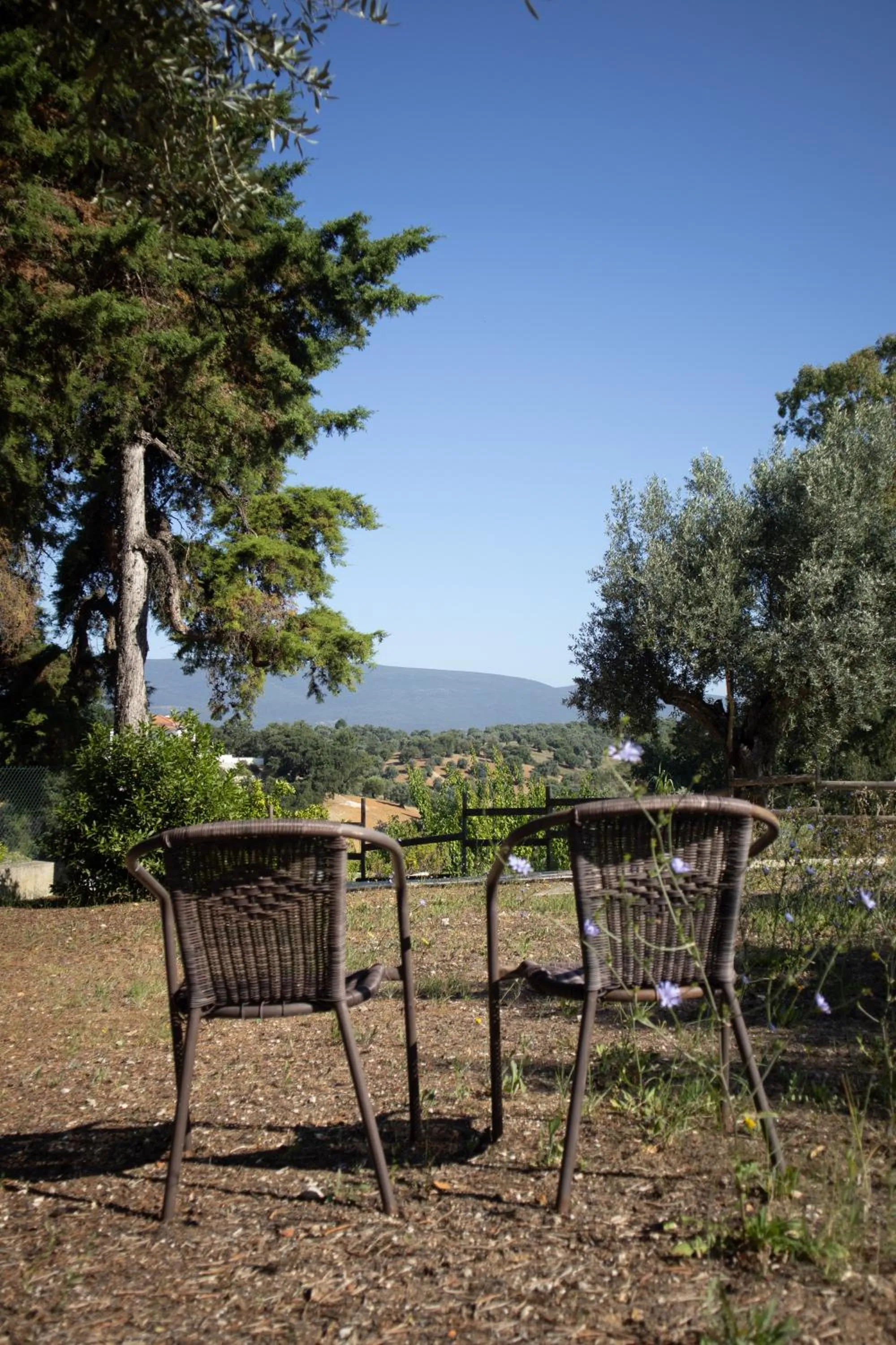 Garden in Aires da Serra Hotel