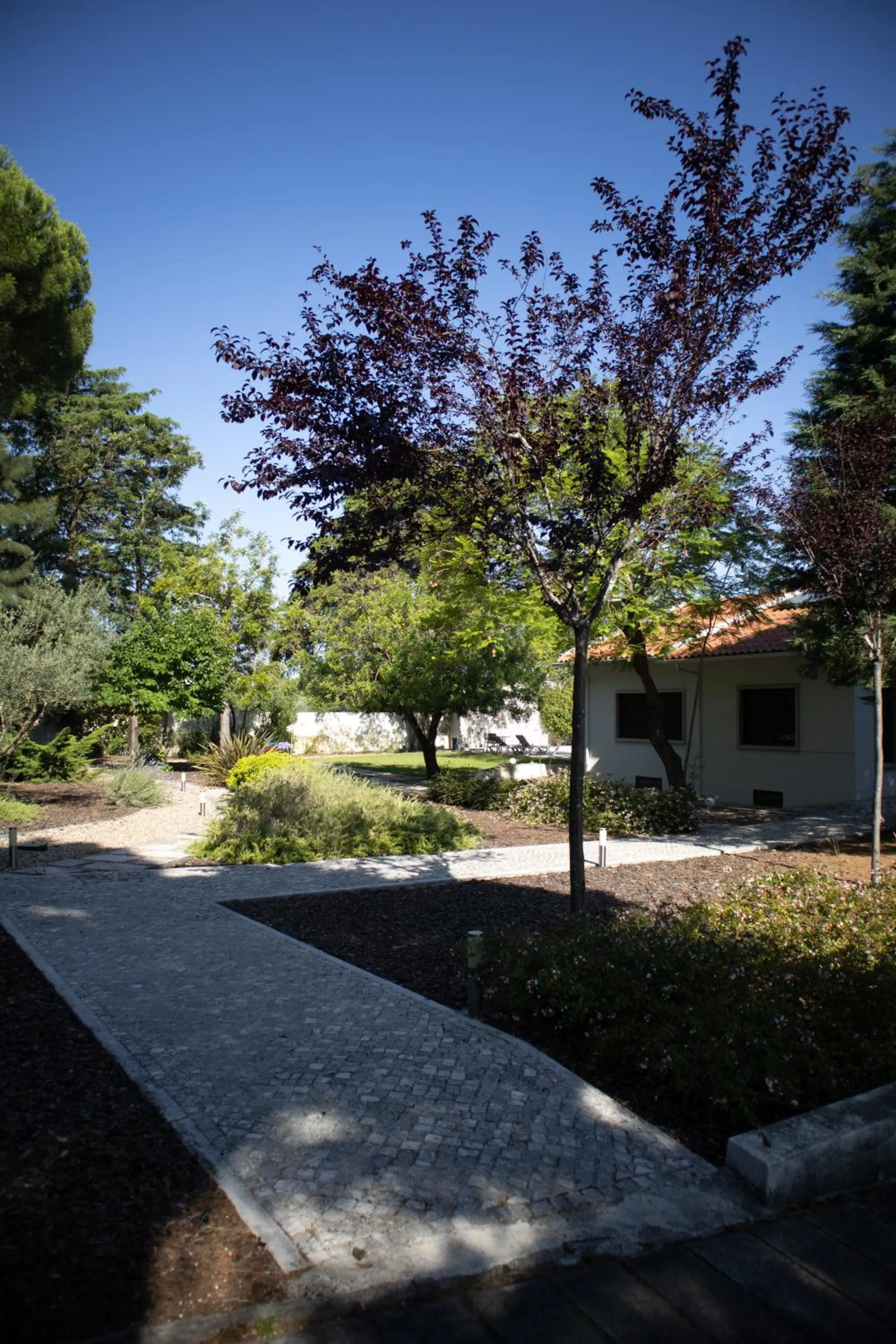Garden in Aires da Serra Hotel