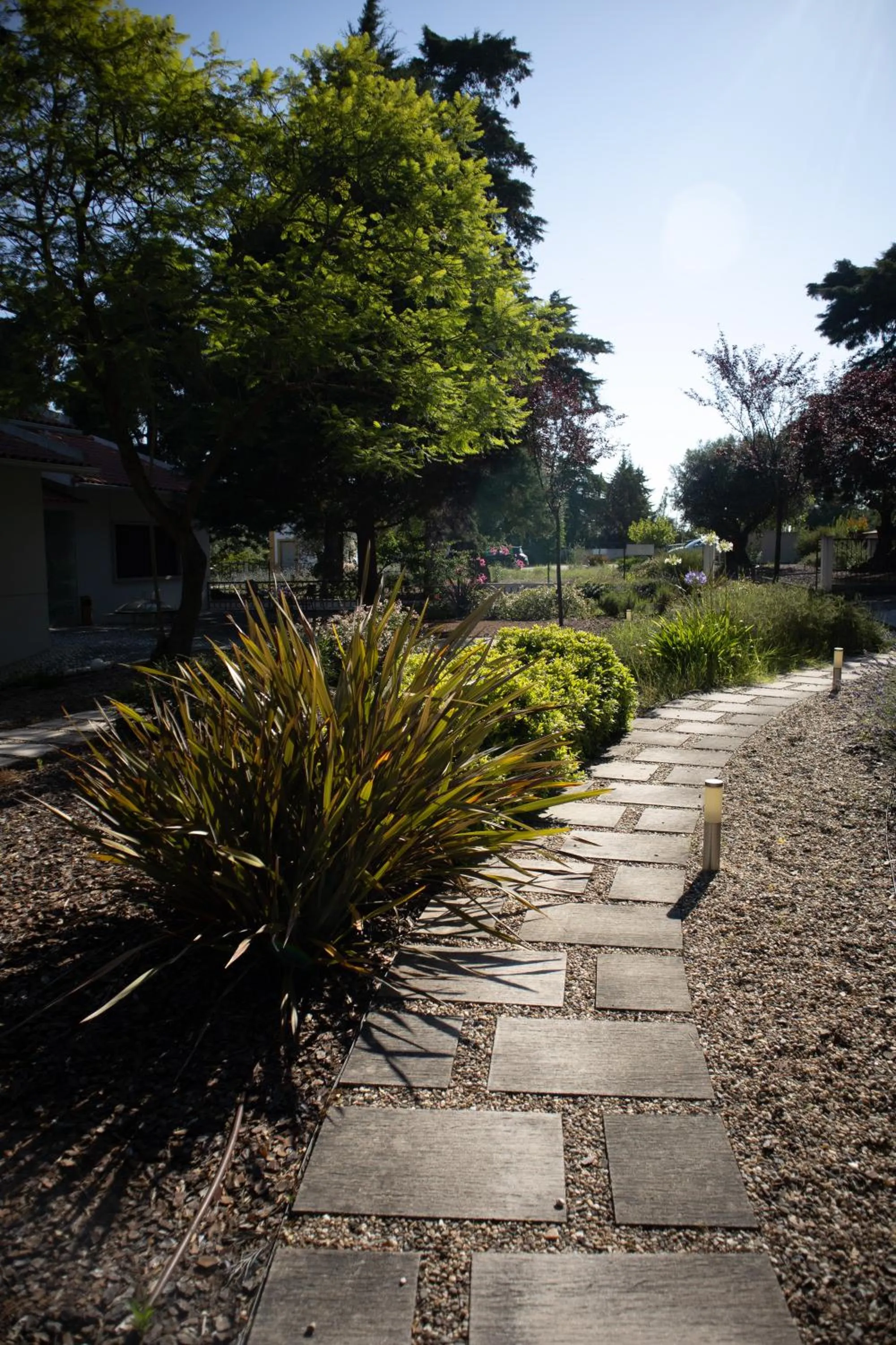 Garden in Aires da Serra Hotel