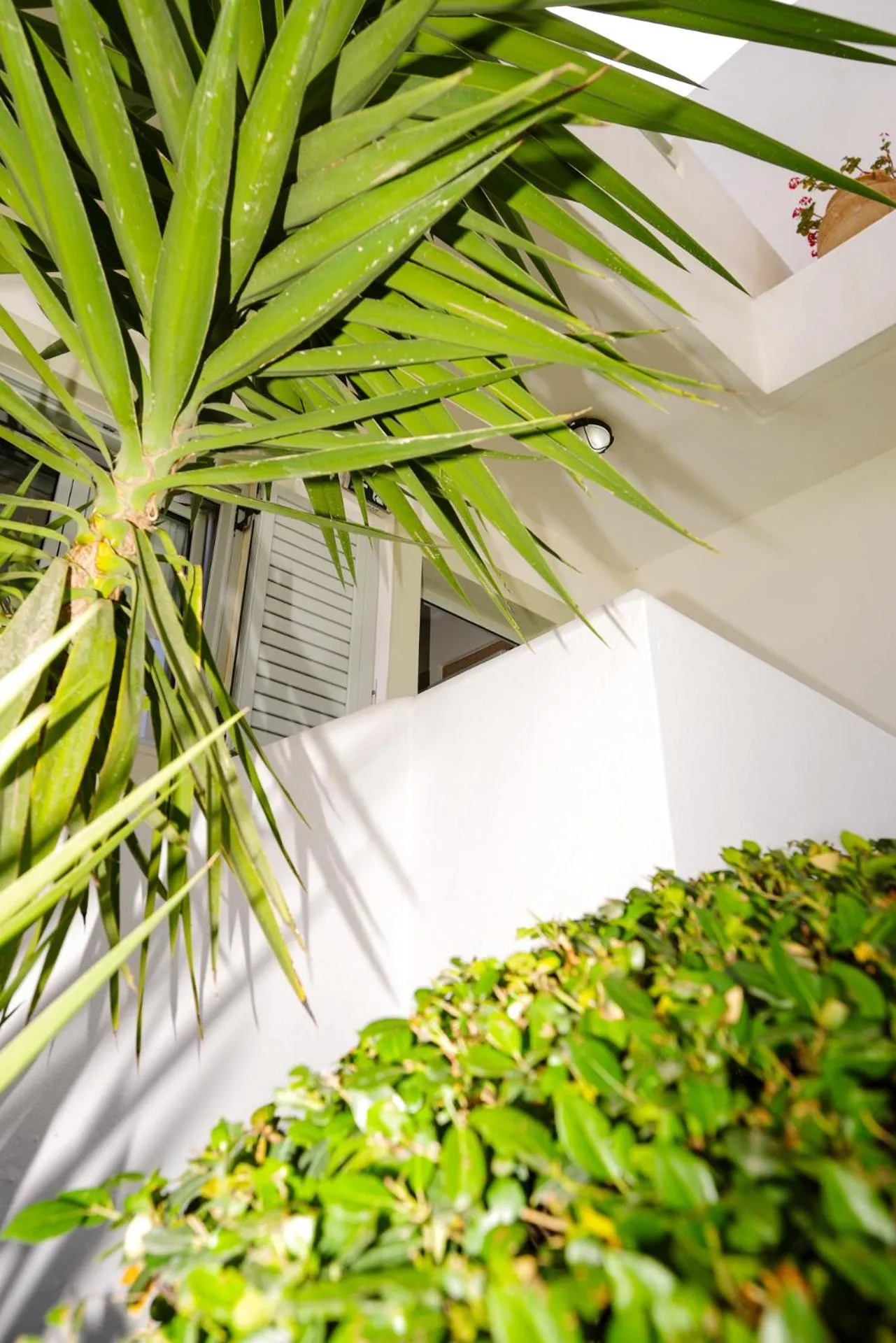 Garden in Angela Studios Apartments