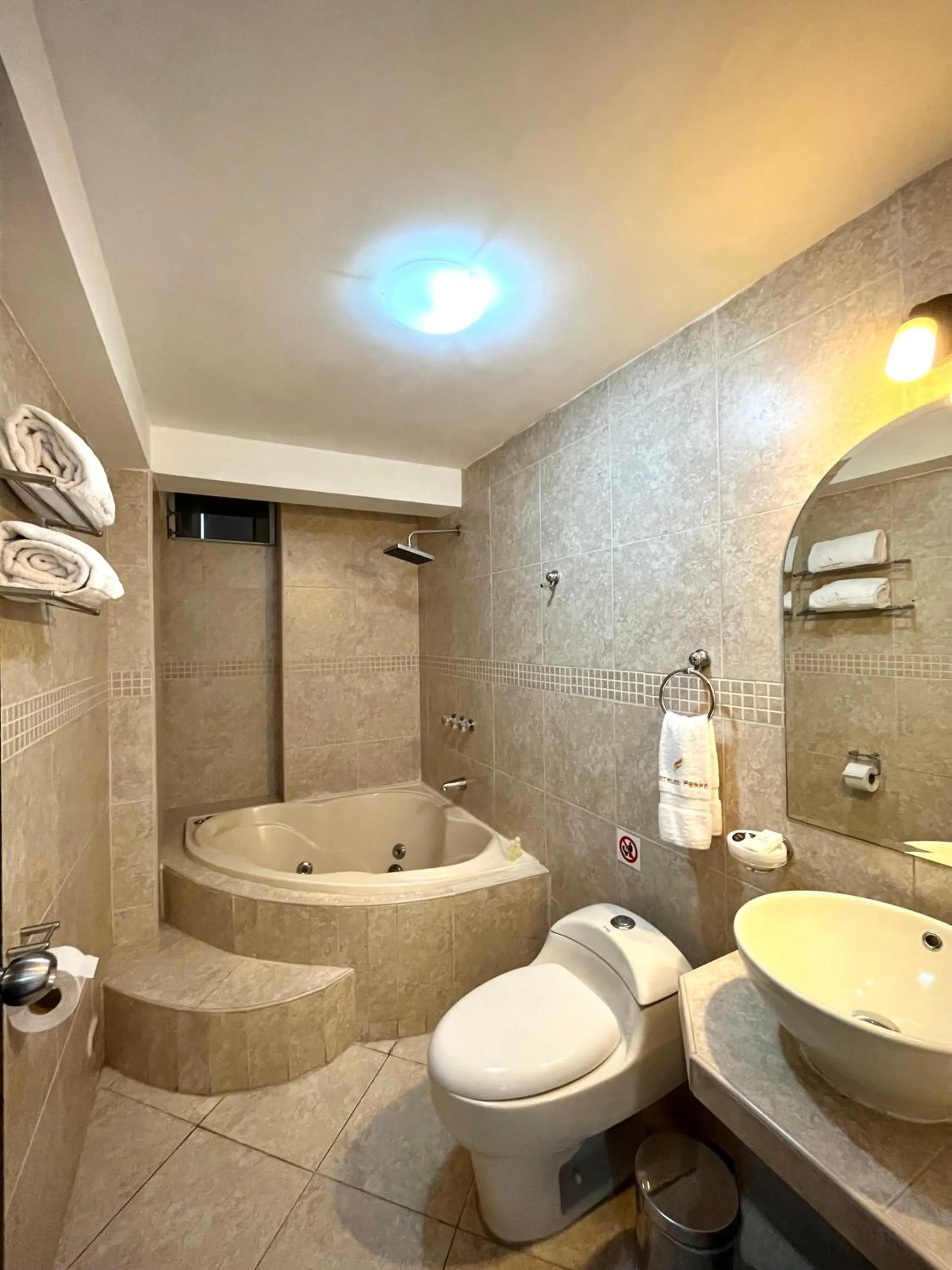 Toilet in Hotel Ferré Miraflores