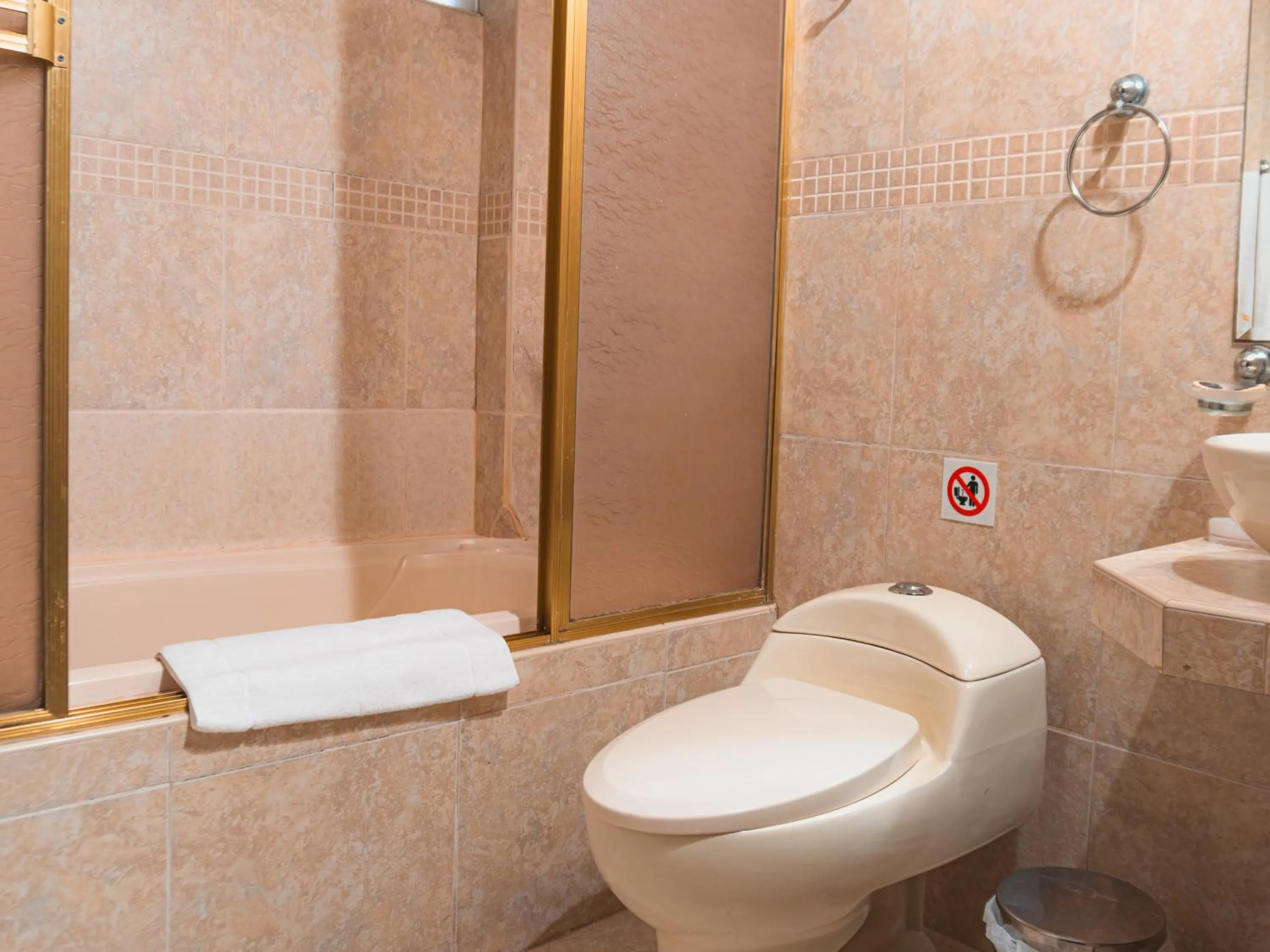 Bathroom in Hotel Ferré Miraflores