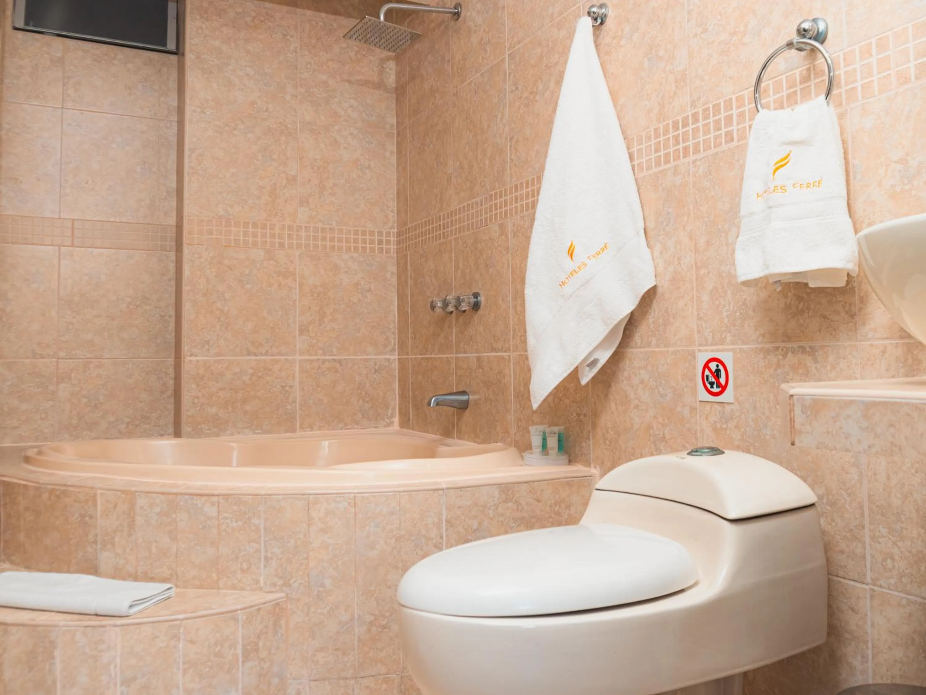 Shower in Hotel Ferré Miraflores