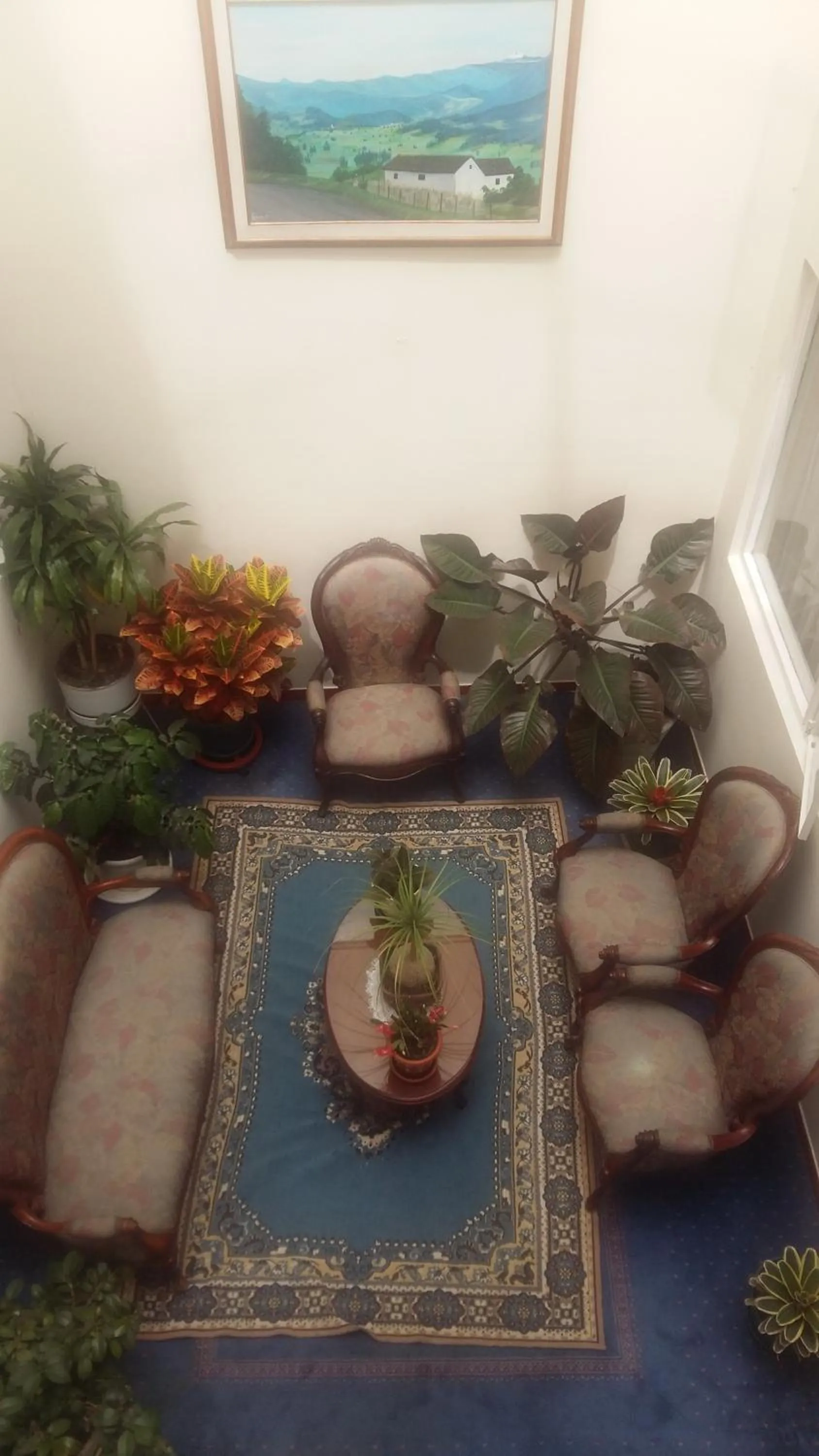Single Room in Hotel Catalina Real