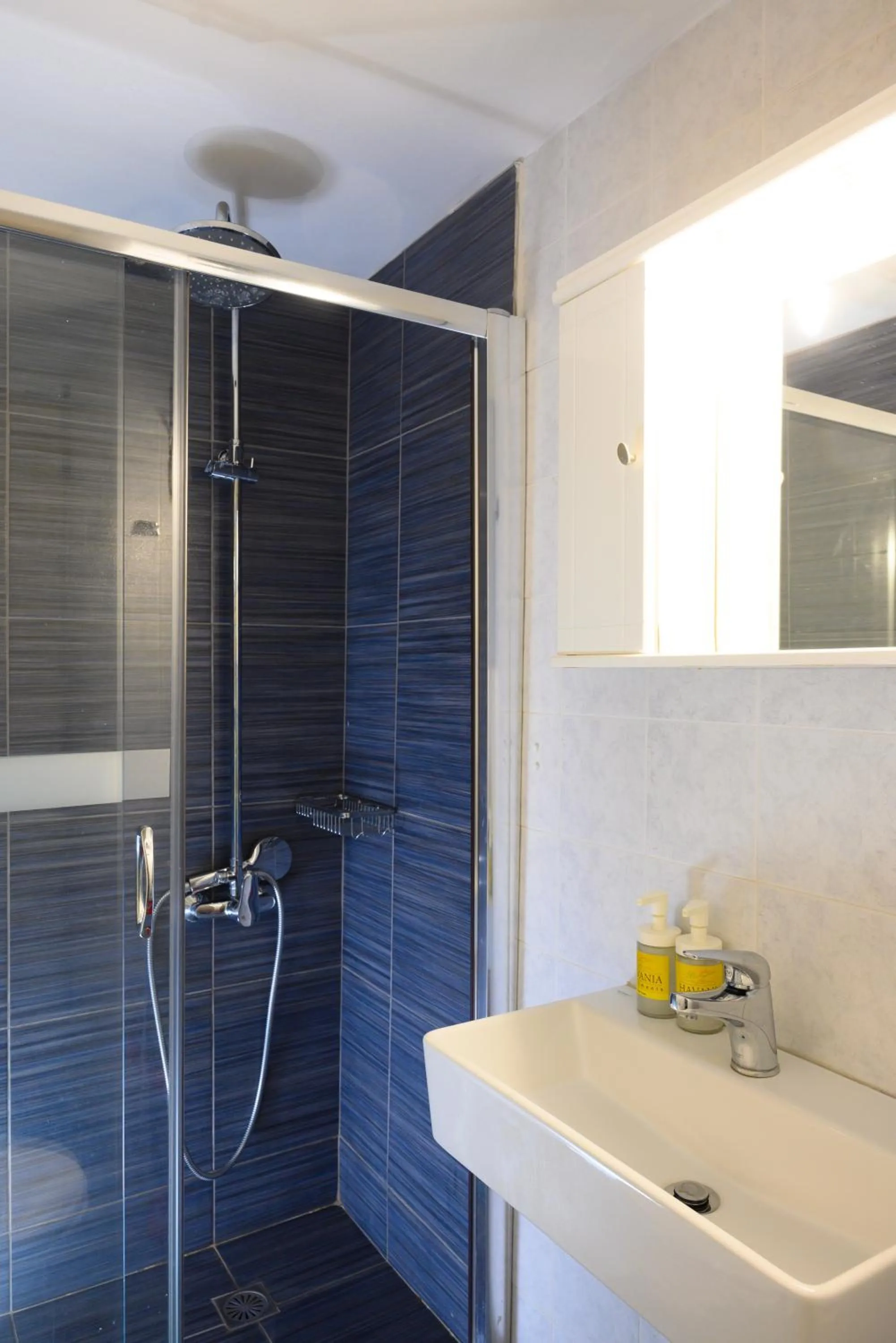Shower in Havania Apartments