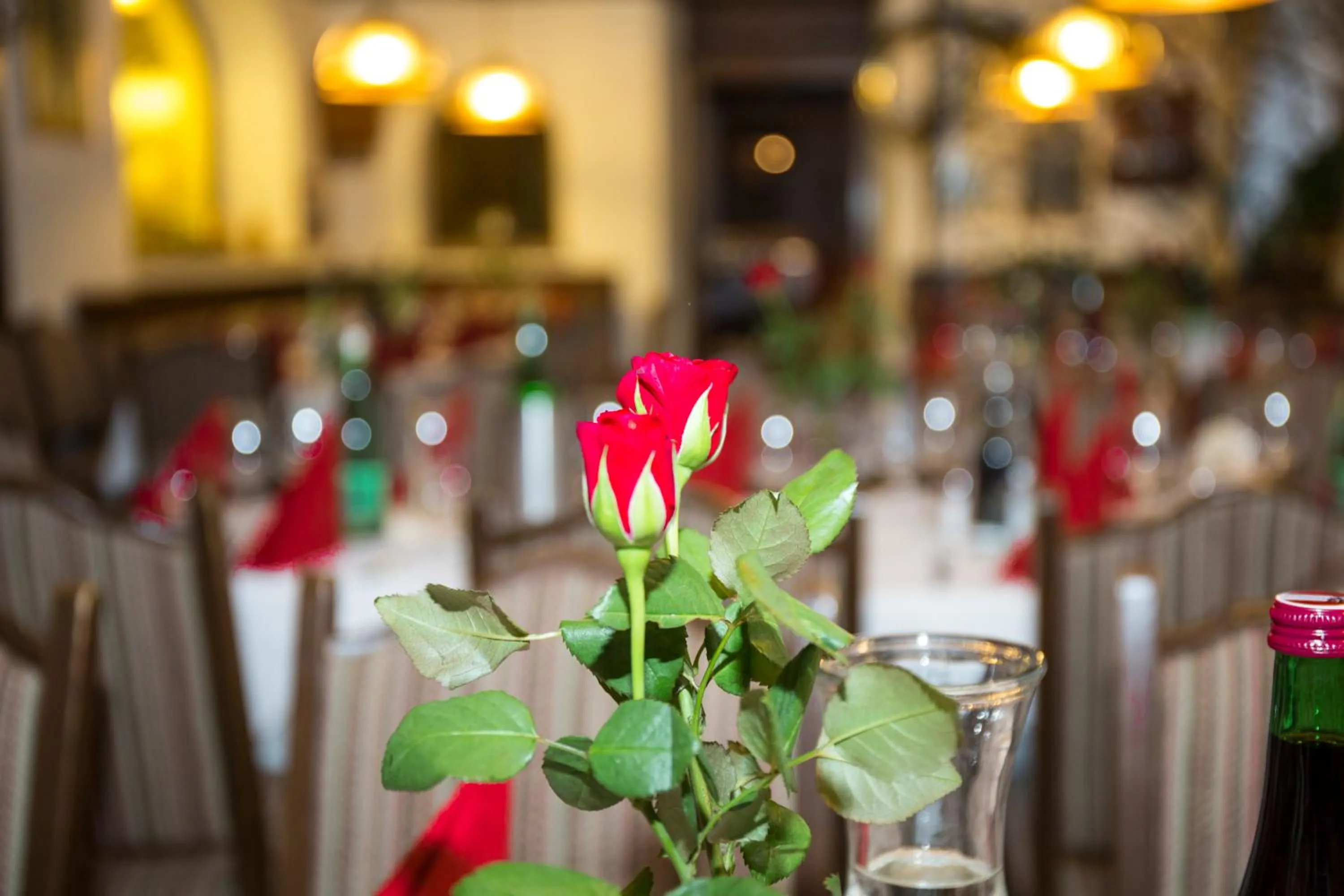 Other in Hotel Rosner