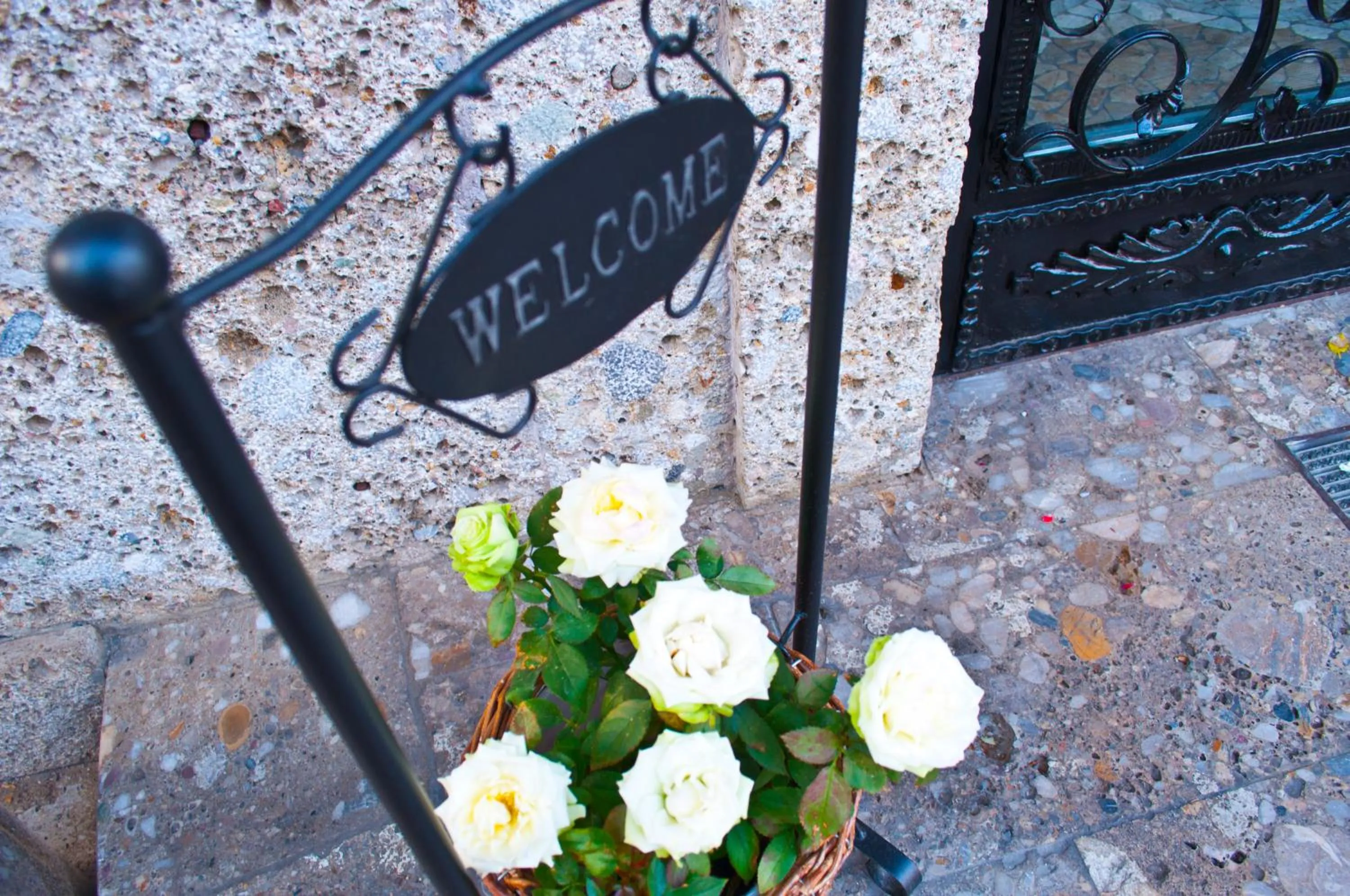 Summer in Hotel Rosner