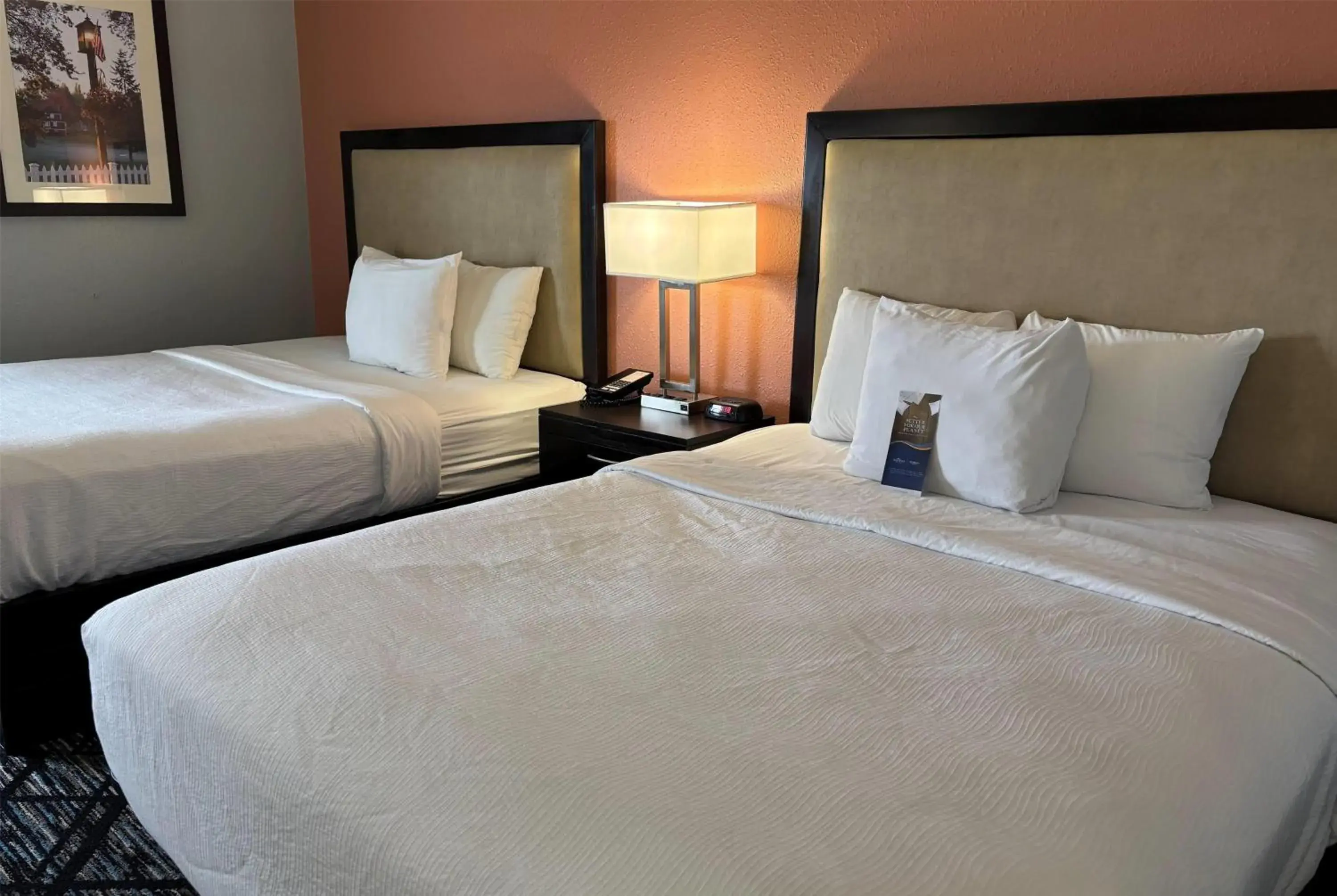 Photo of the whole room, Bed in Baymont by Wyndham Litchfield Photo of the whole room, Bed in Baymont by Wyndham Litchfield