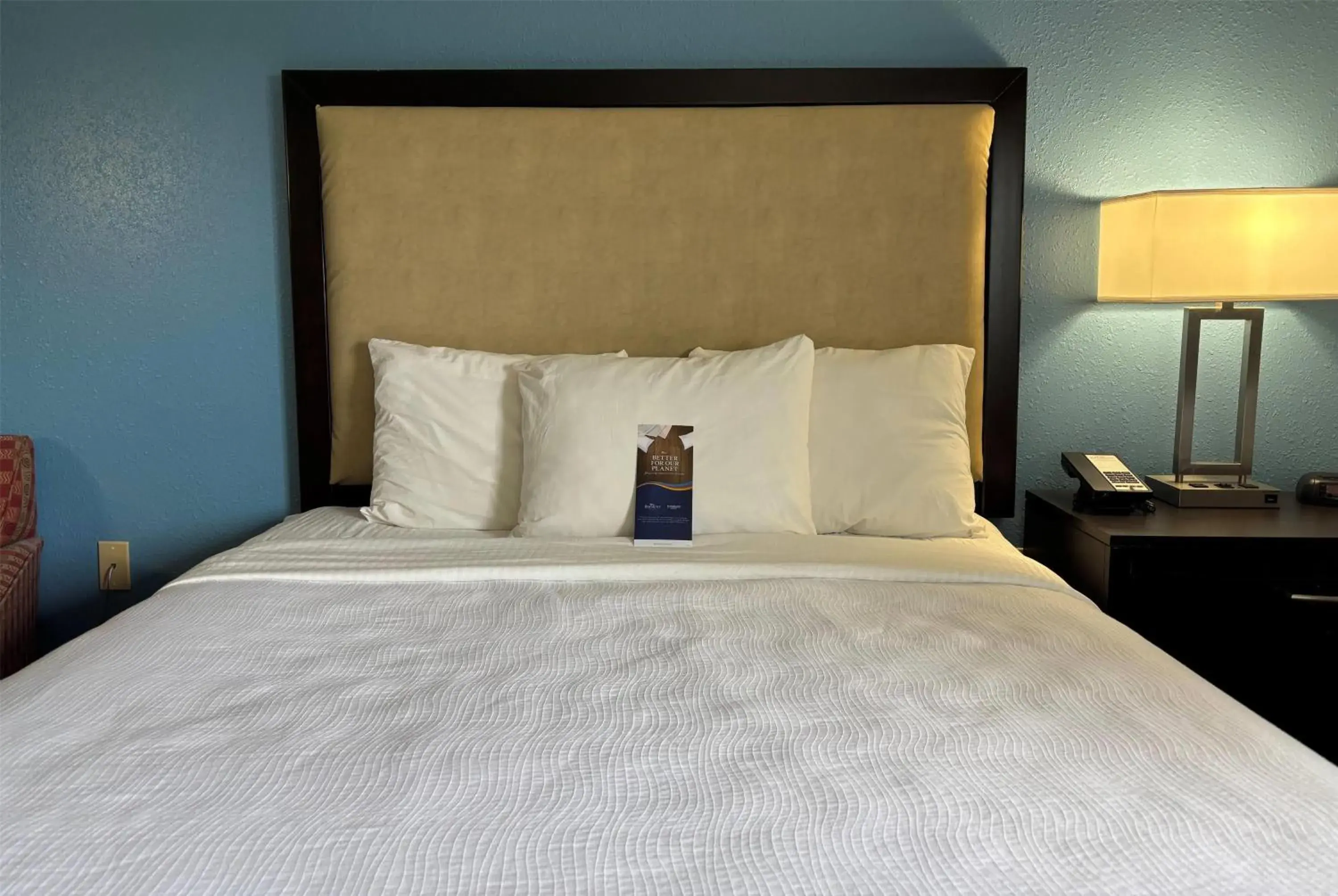 Photo of the whole room, Bed in Baymont by Wyndham Litchfield Photo of the whole room, Bed in Baymont by Wyndham Litchfield