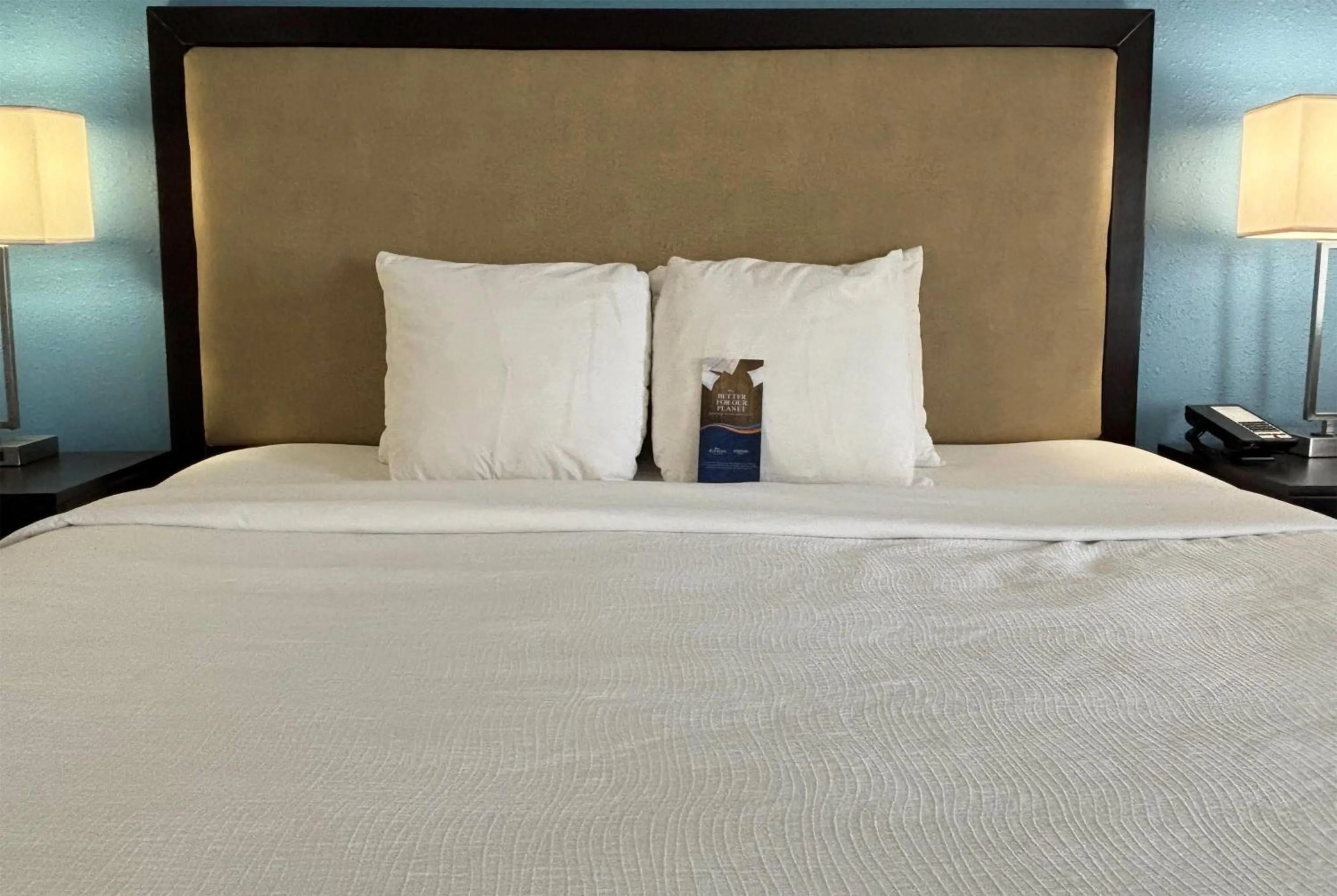 Photo of the whole room, Bed in Baymont by Wyndham Litchfield