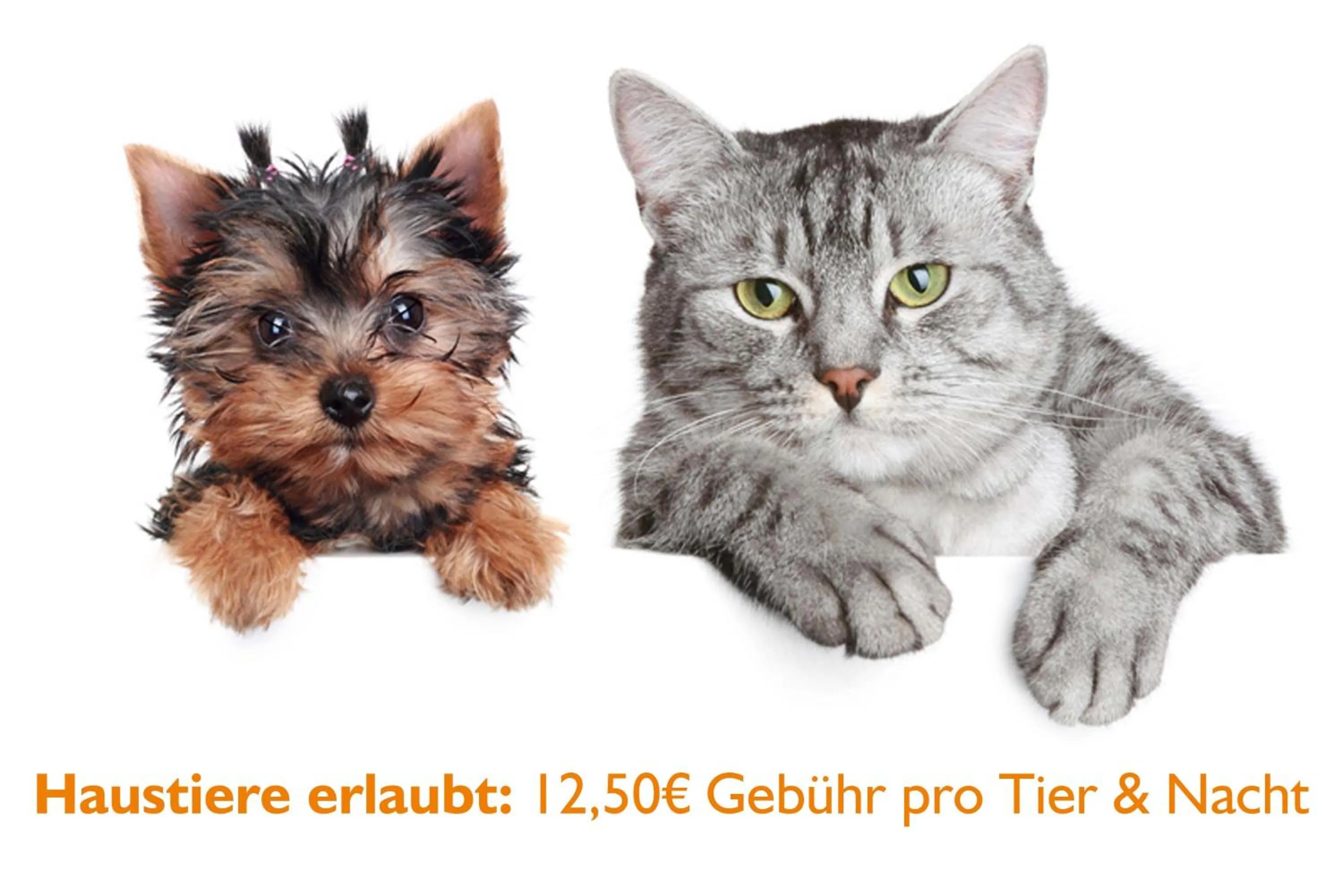 Pets in Hotel Dömitzer Hafen