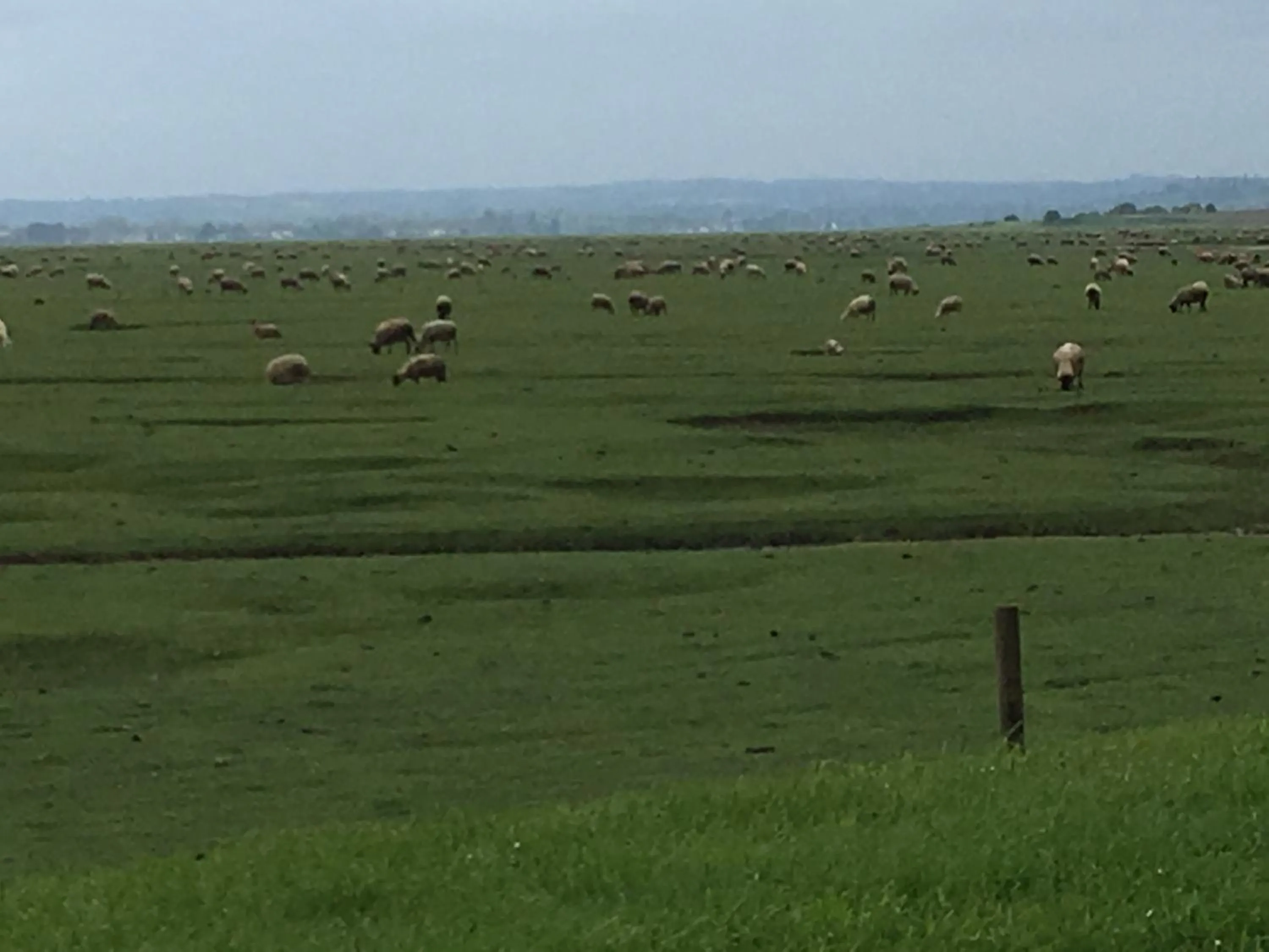 Marie France 's home