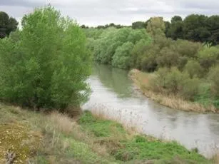 Area and facilities in Hostal DS