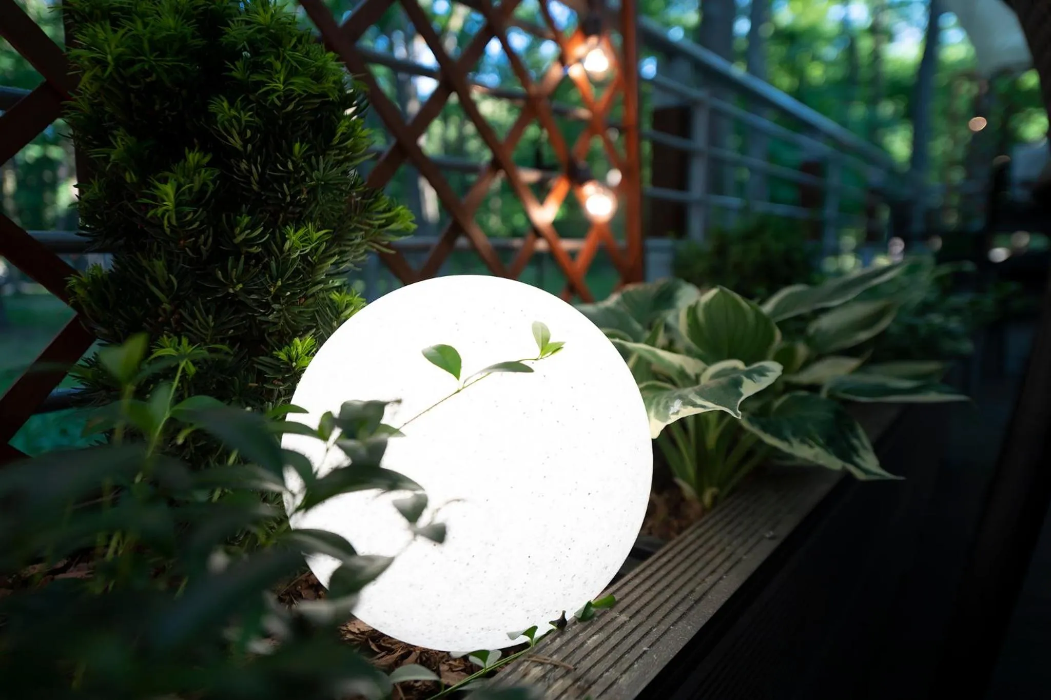 Night in Hotel Mościcki