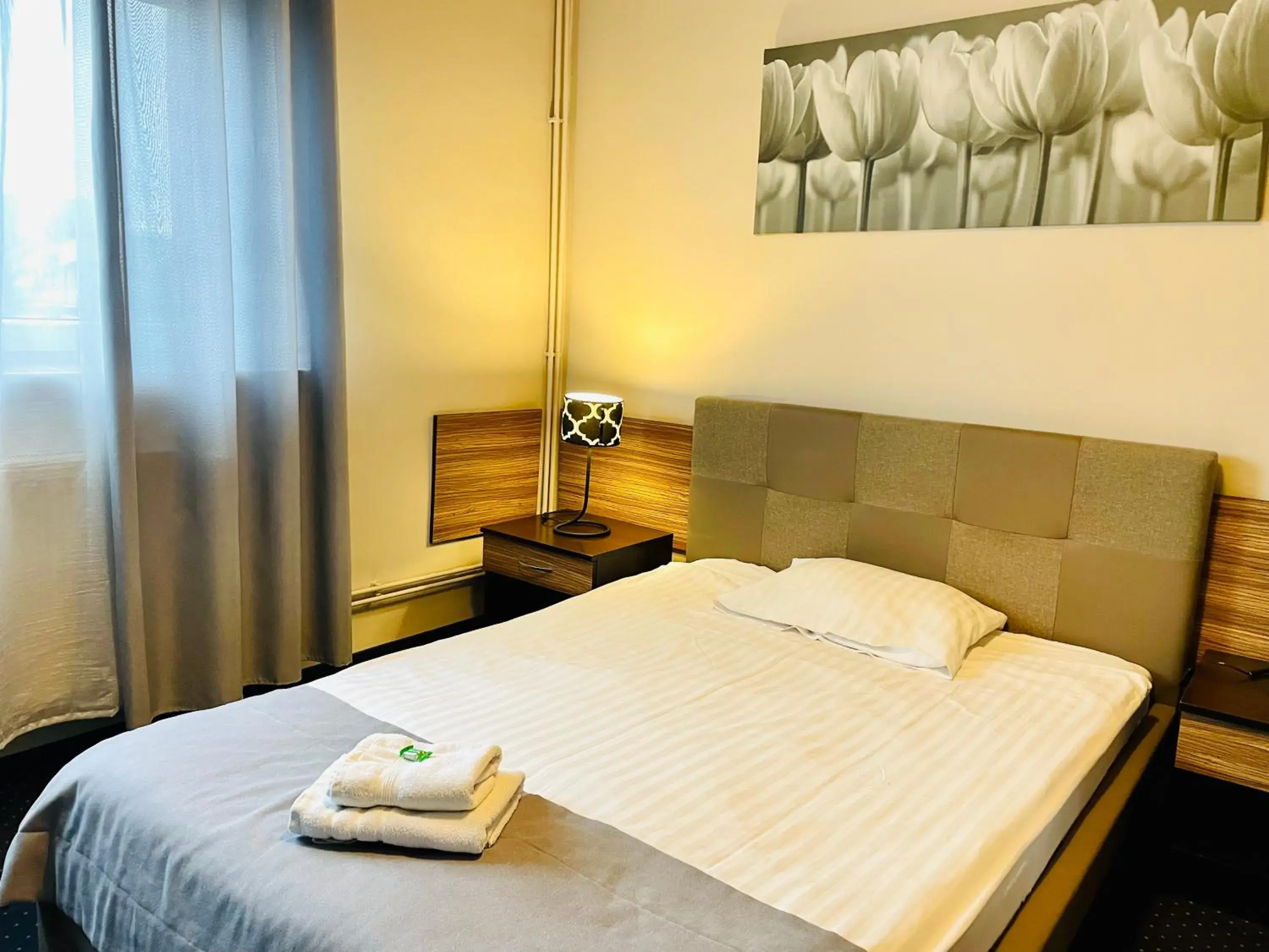 Single Room in Hotel Seven 7 Single Room in Hotel Seven 7
