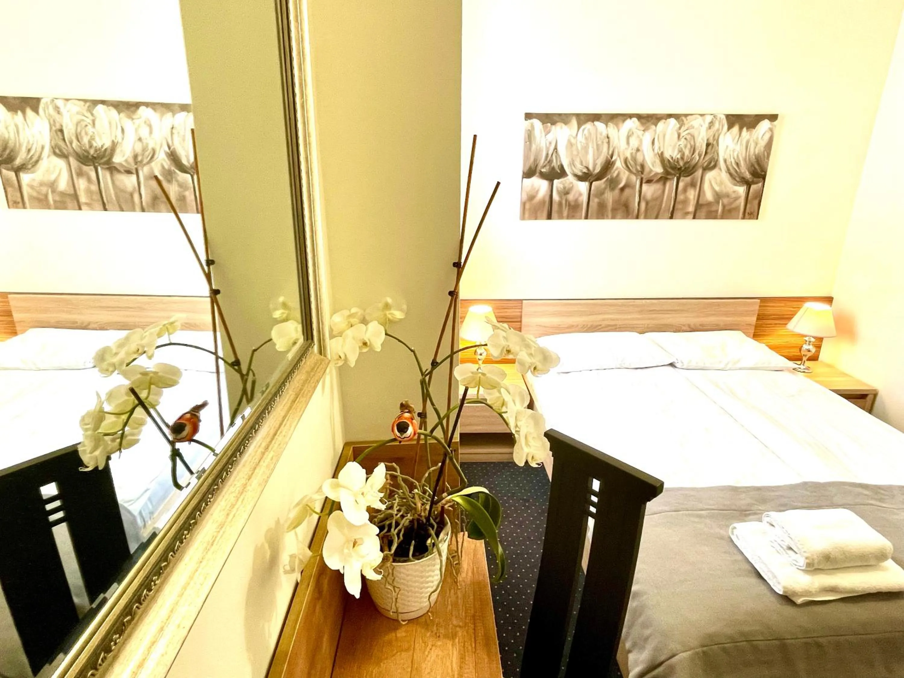 Bed in Hotel Seven 7