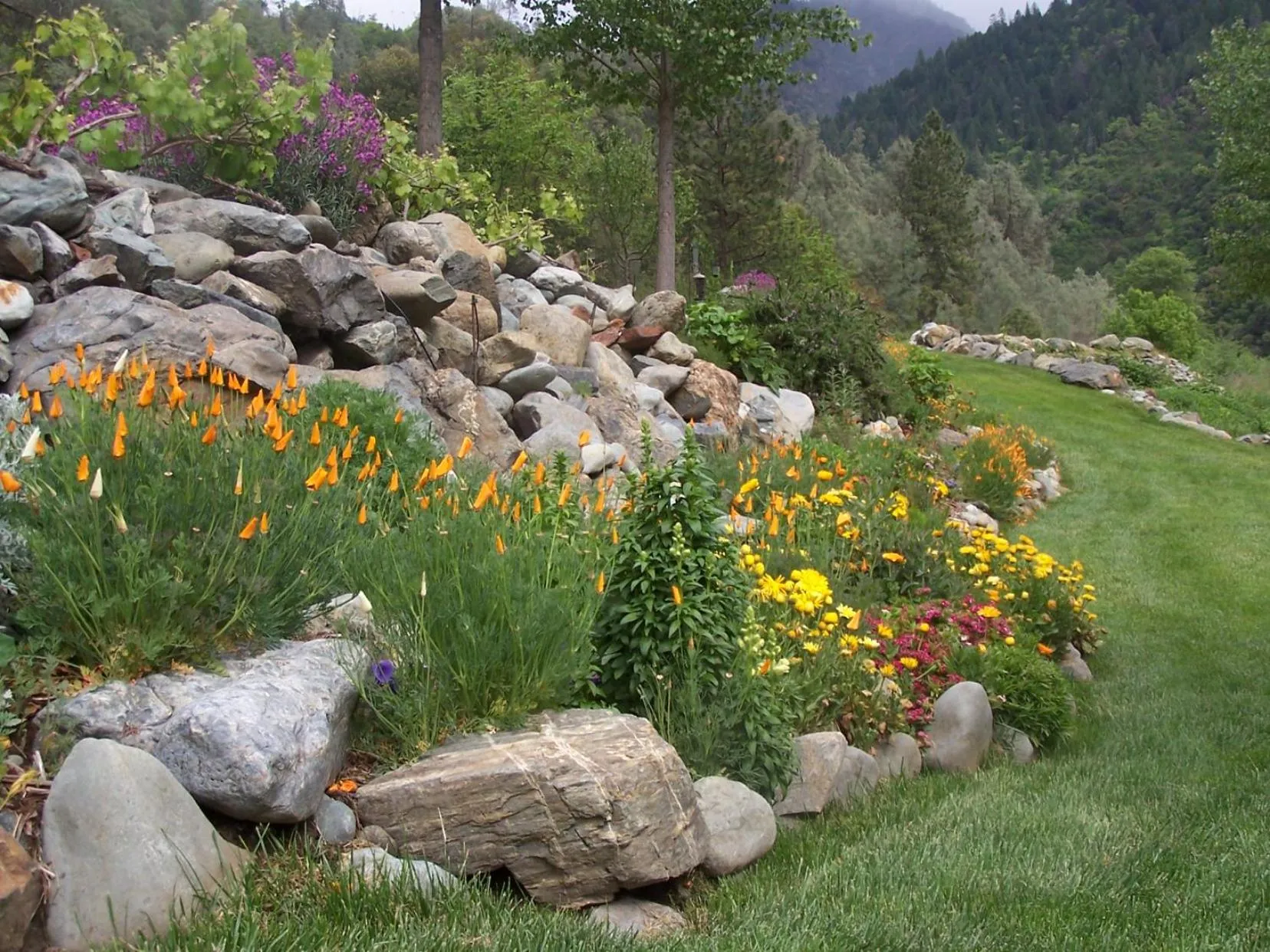 Garden in Strawhouse Resorts