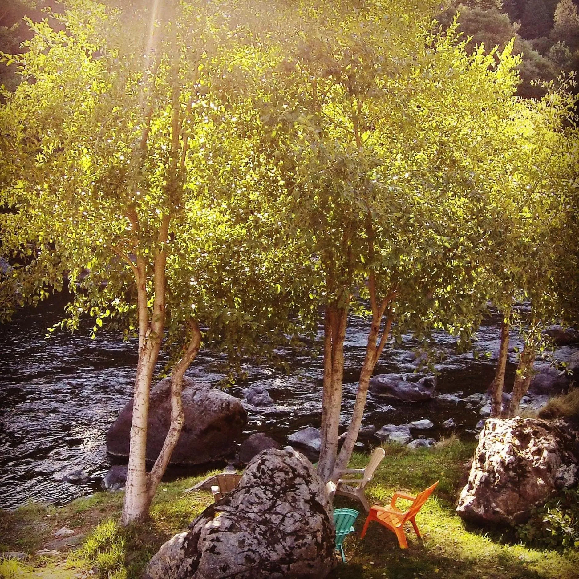 Beach in Strawhouse Resorts