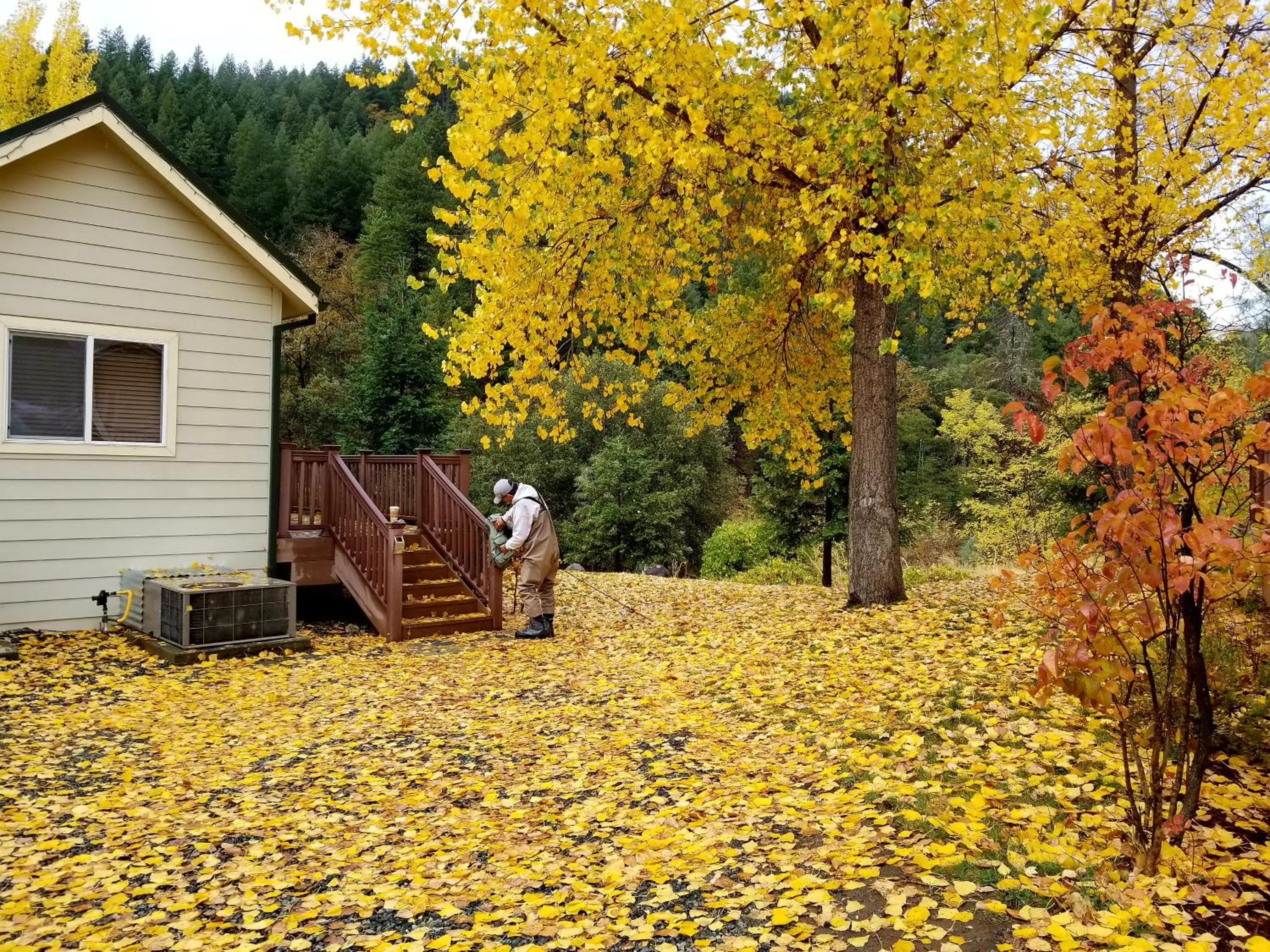 Fishing in Strawhouse Resorts