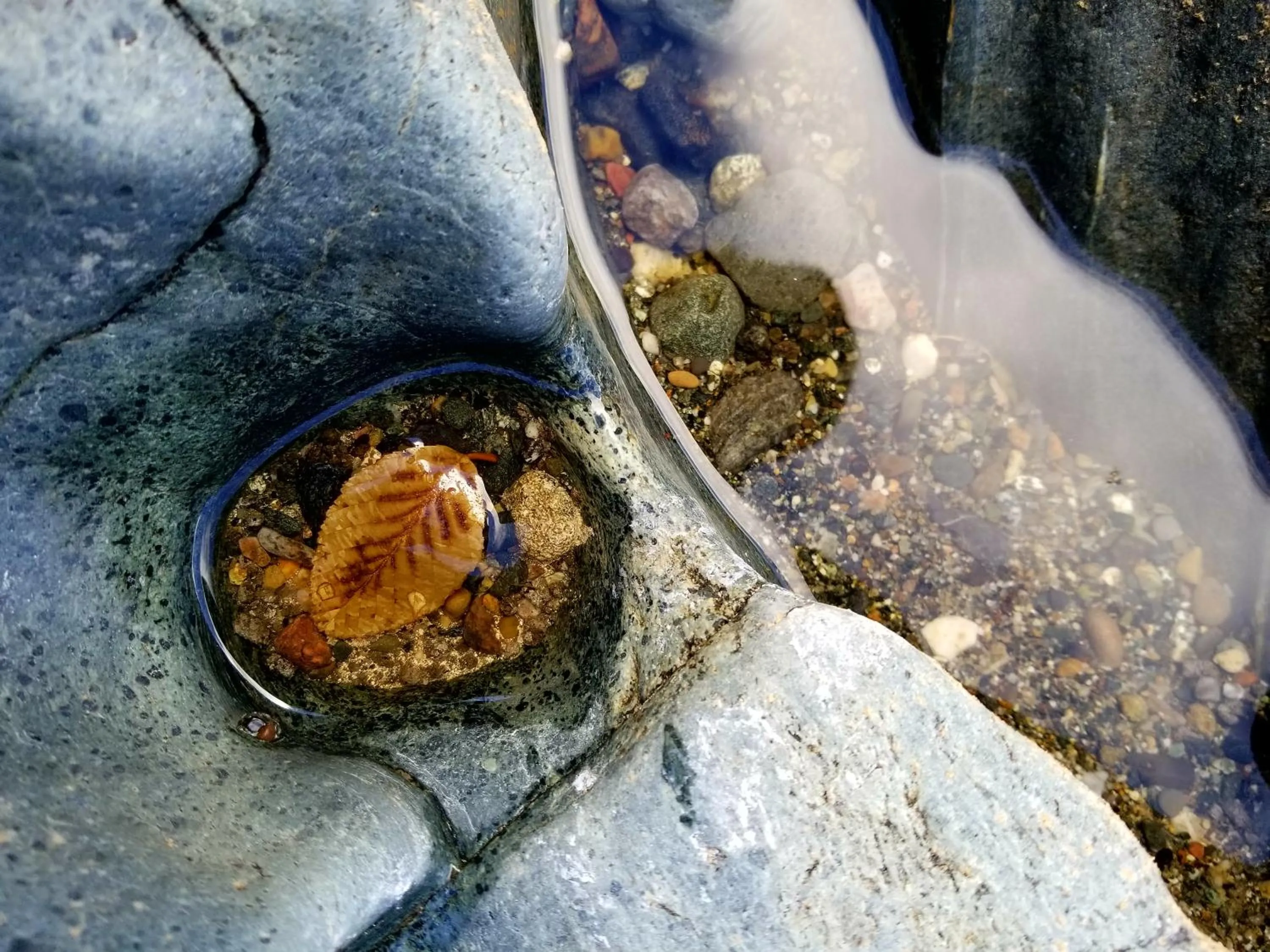 Beach in Strawhouse Resorts