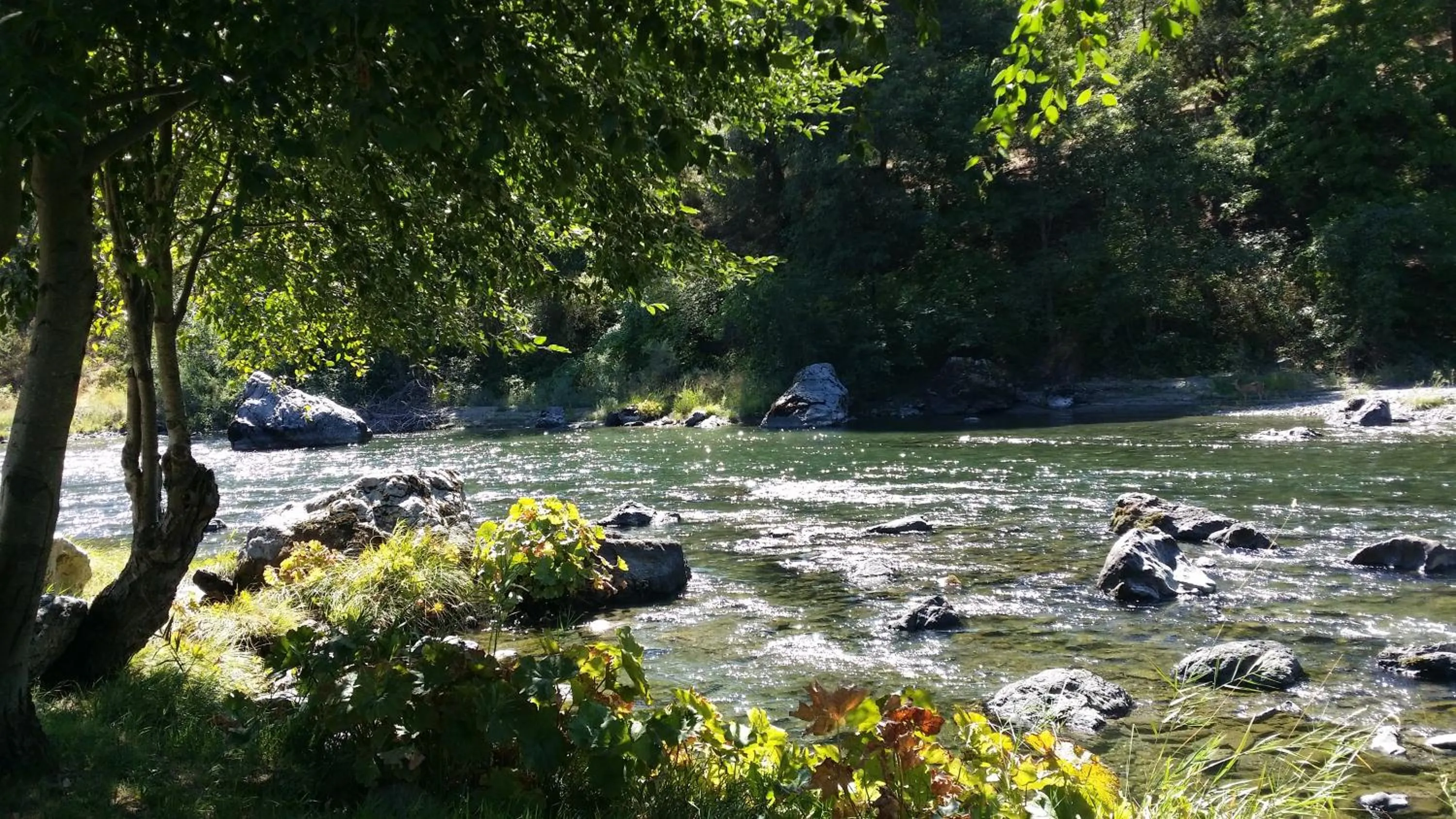 Bird's eye view in Strawhouse Resorts