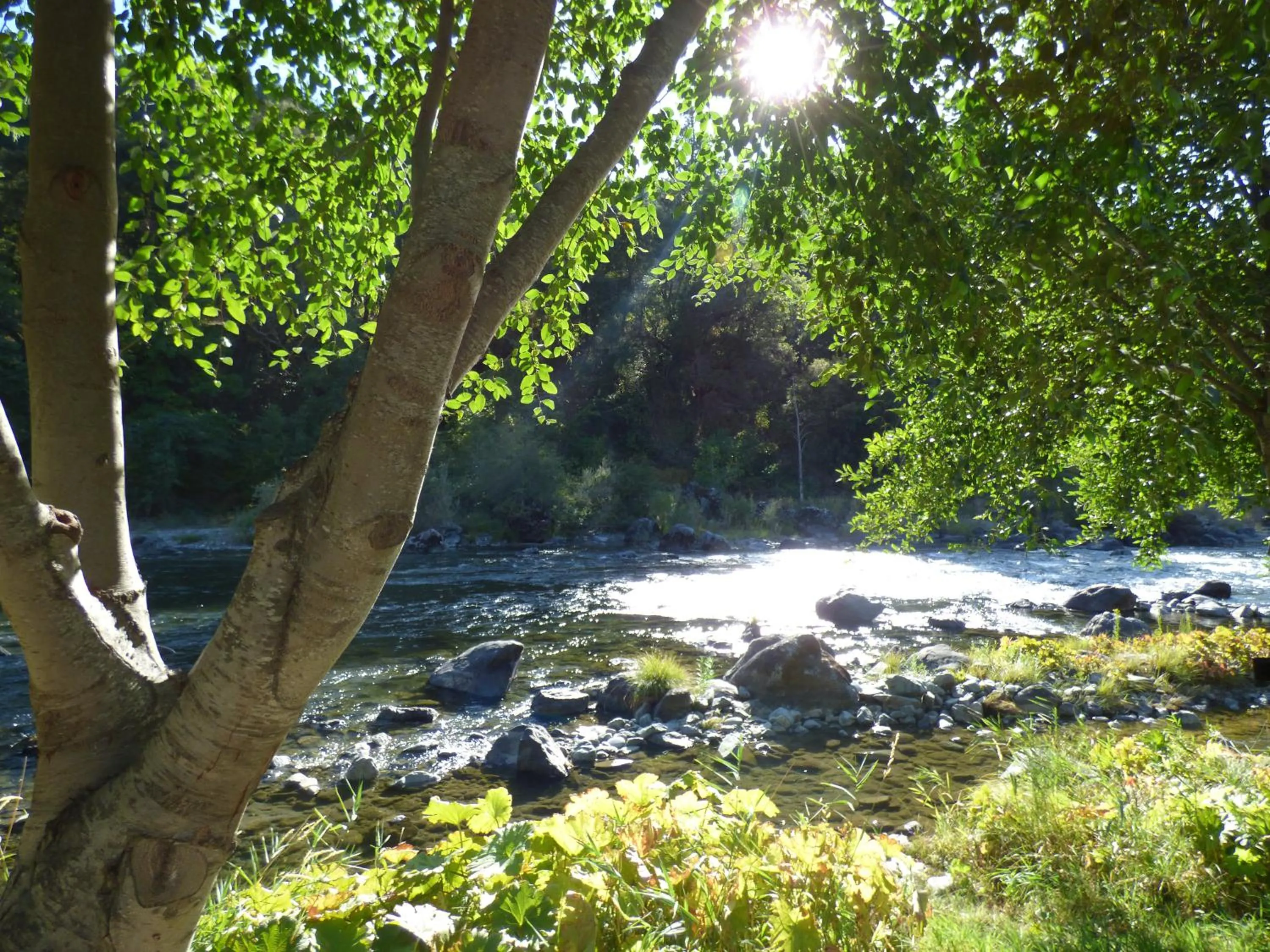 River view in Strawhouse Resorts