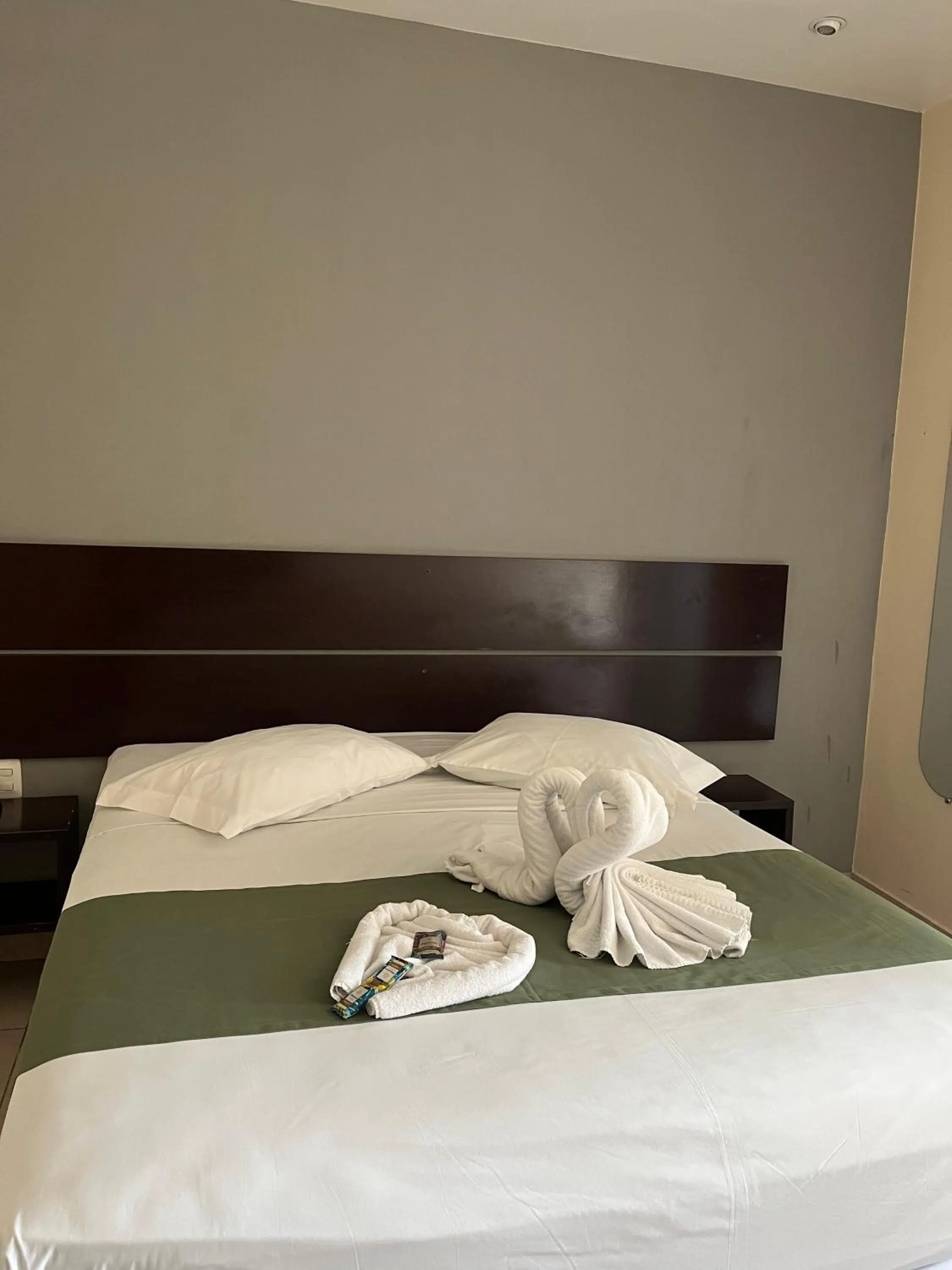 Bed in Hotel do Sol Executive