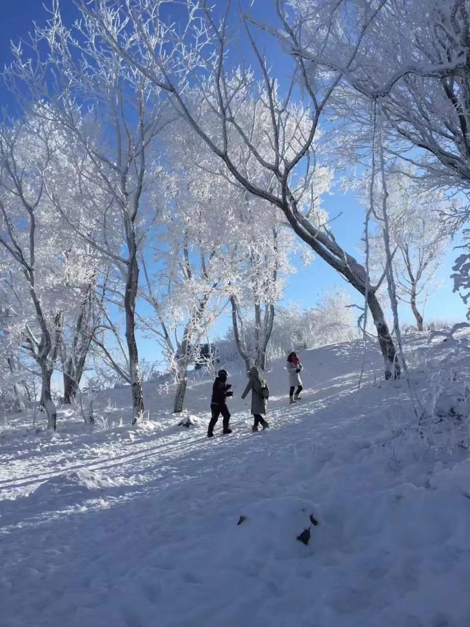 Property building in Songhua Lake Qingshan Snow View Apartment