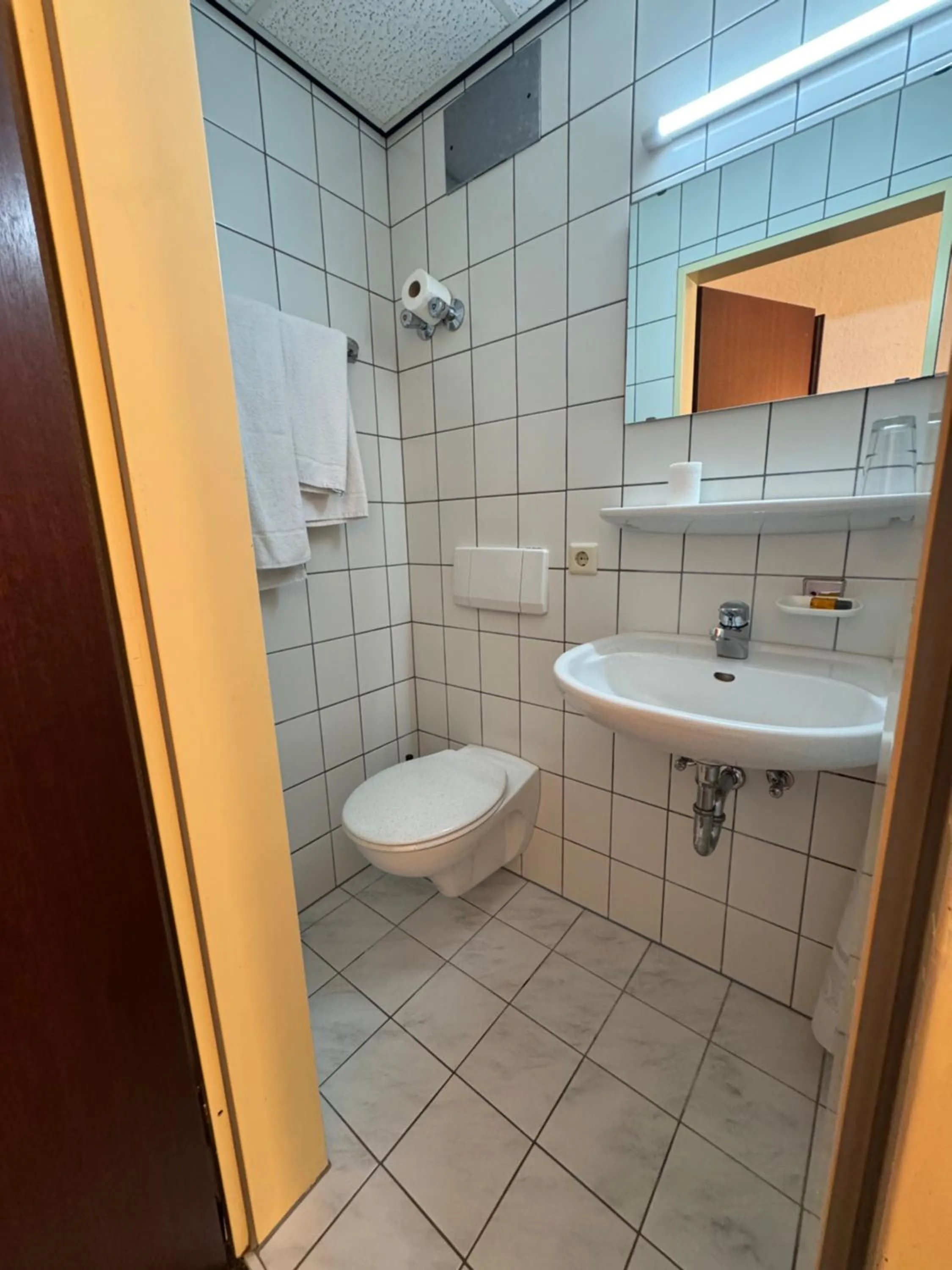 Shower in Hotel Lintforter Hof