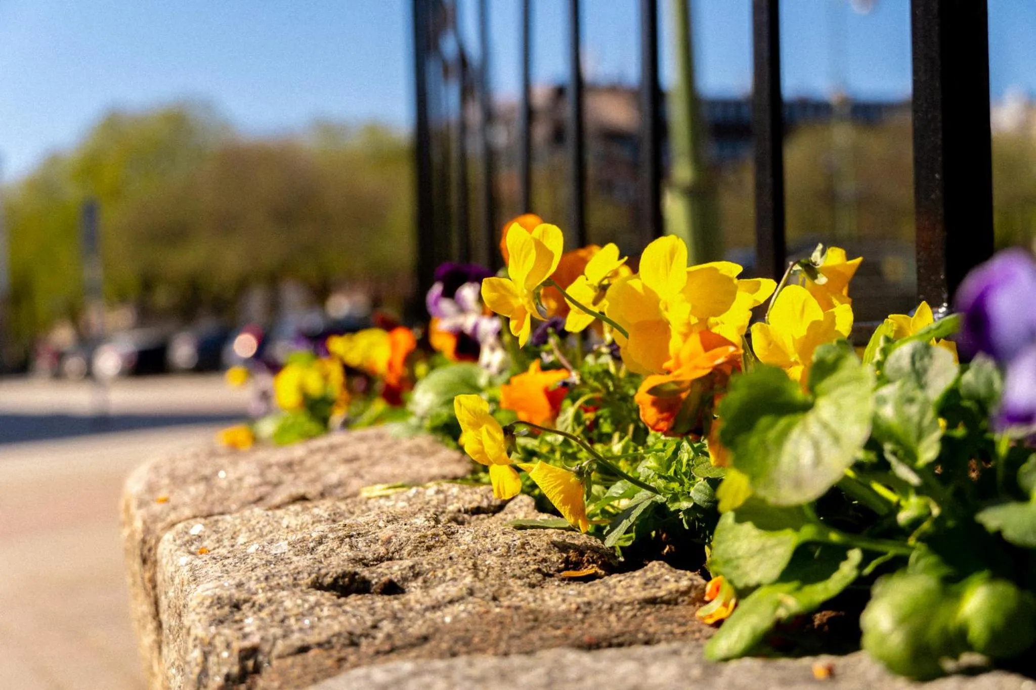 Garden in Vänerport Stadshotell i Mariestad