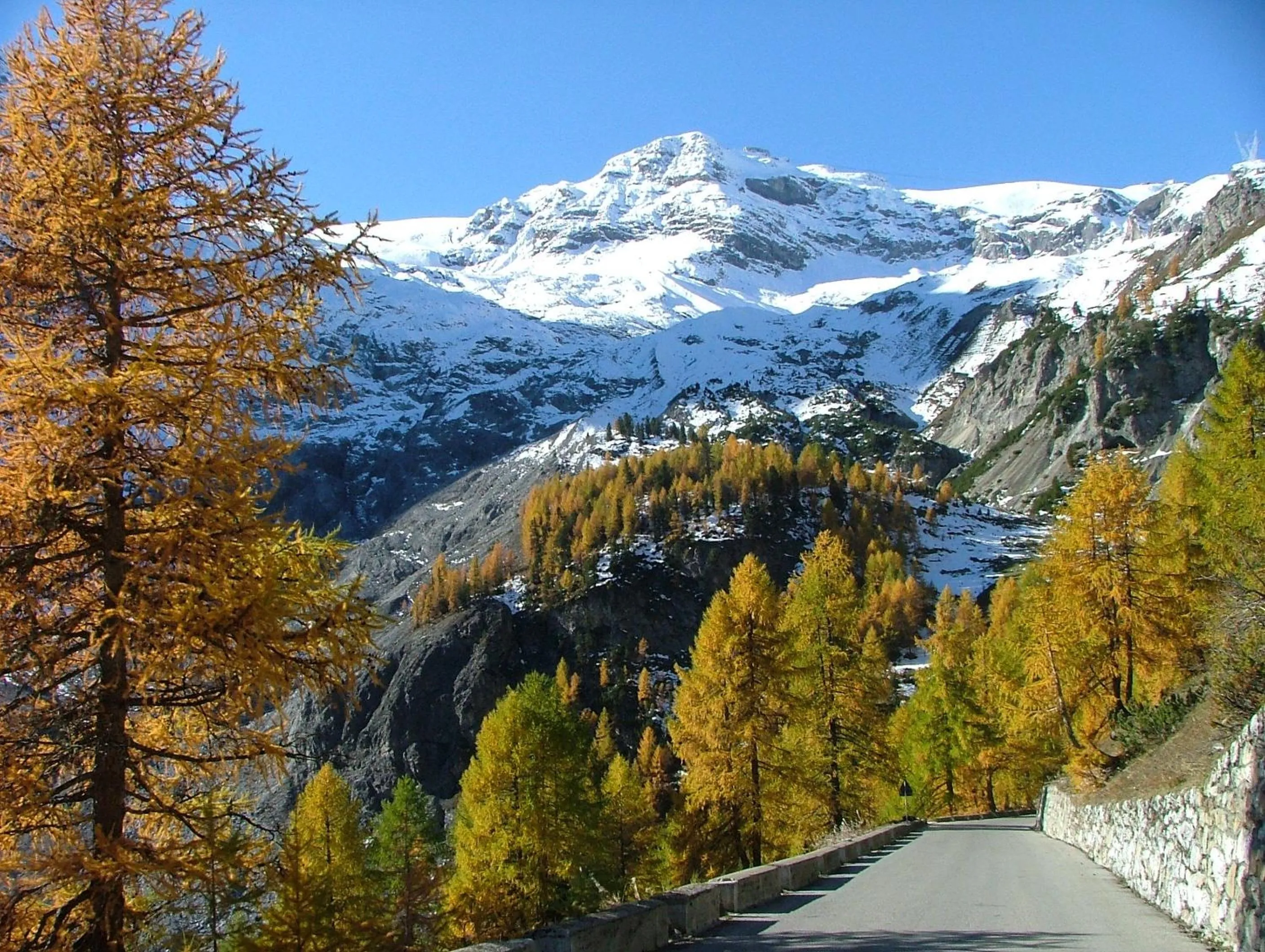 Natural landscape in Hotel Madatsch