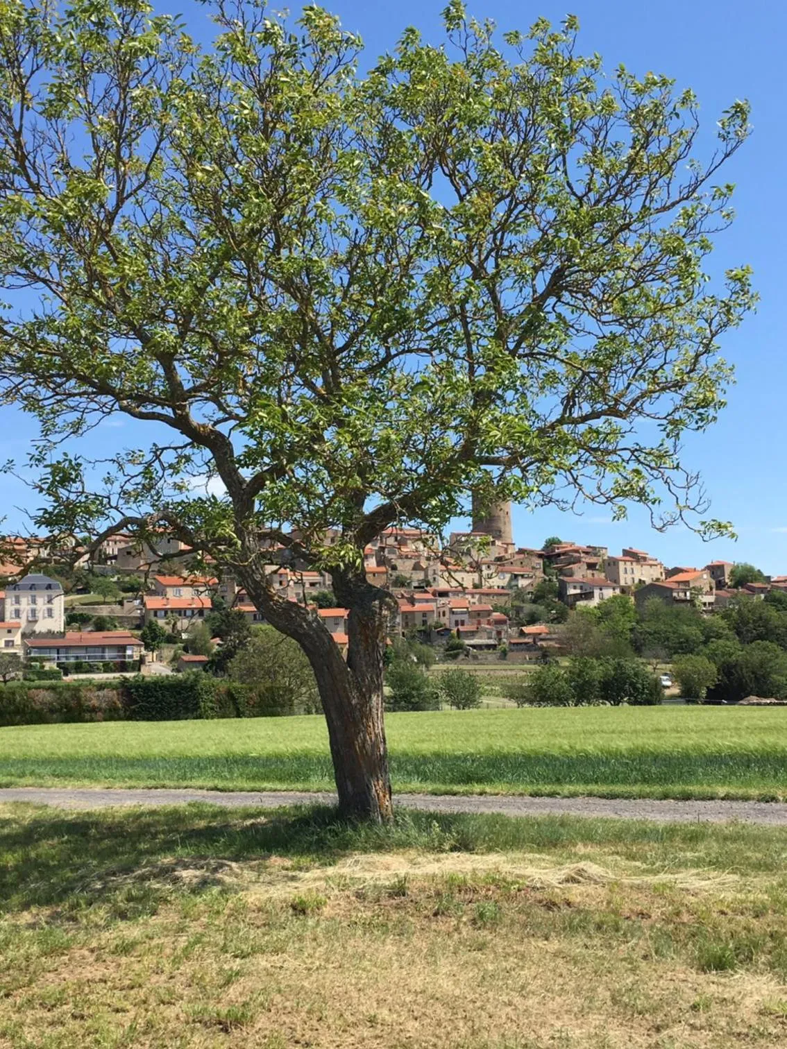 Nearby landmark in La Charmeraie