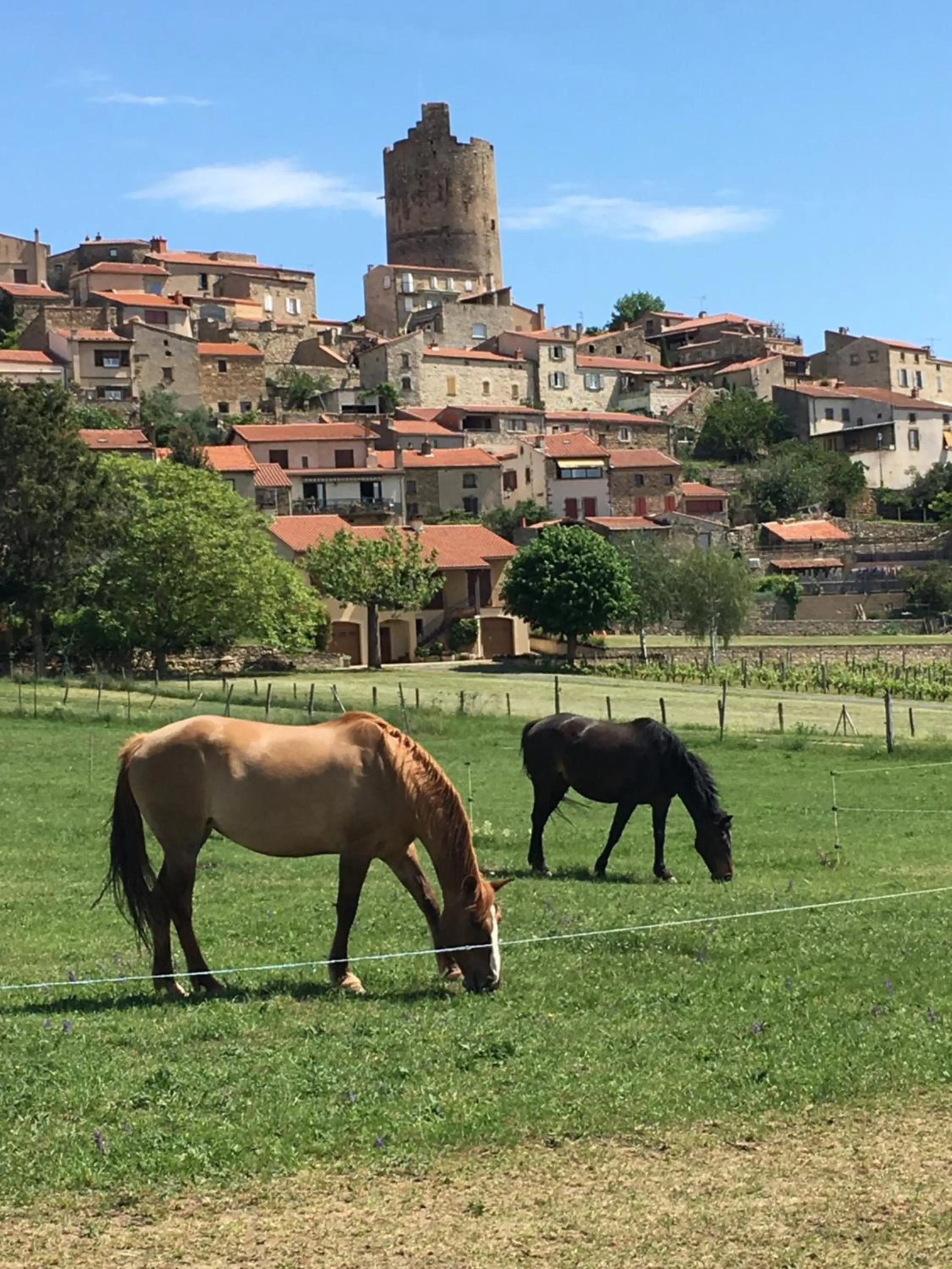 City view in La Charmeraie