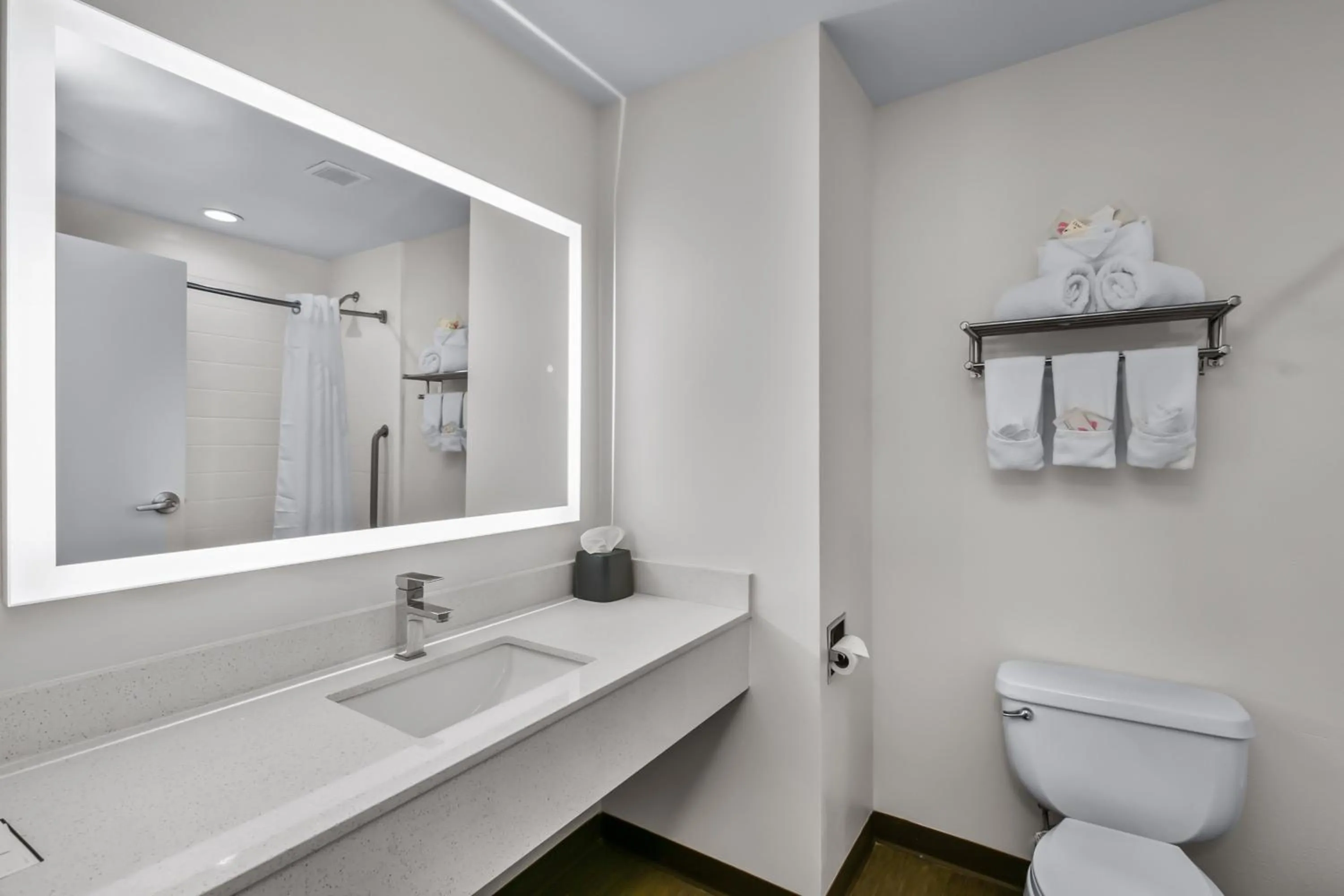 Bathroom in Holiday Inn Express Hotel & Suites Lucedale by IHG