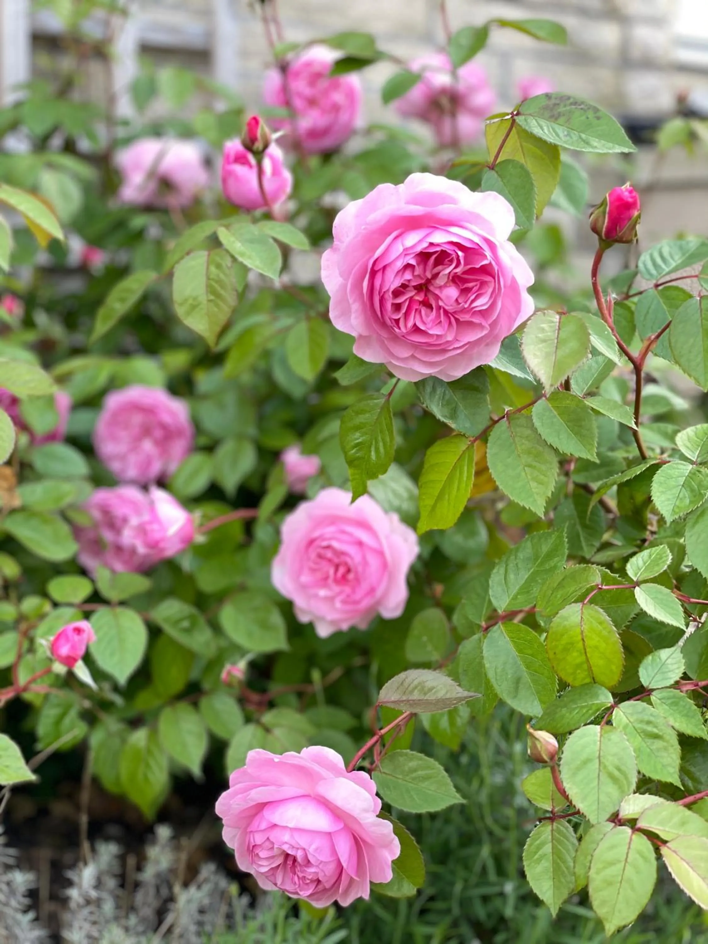 Tyndall Villa Boutique B&B