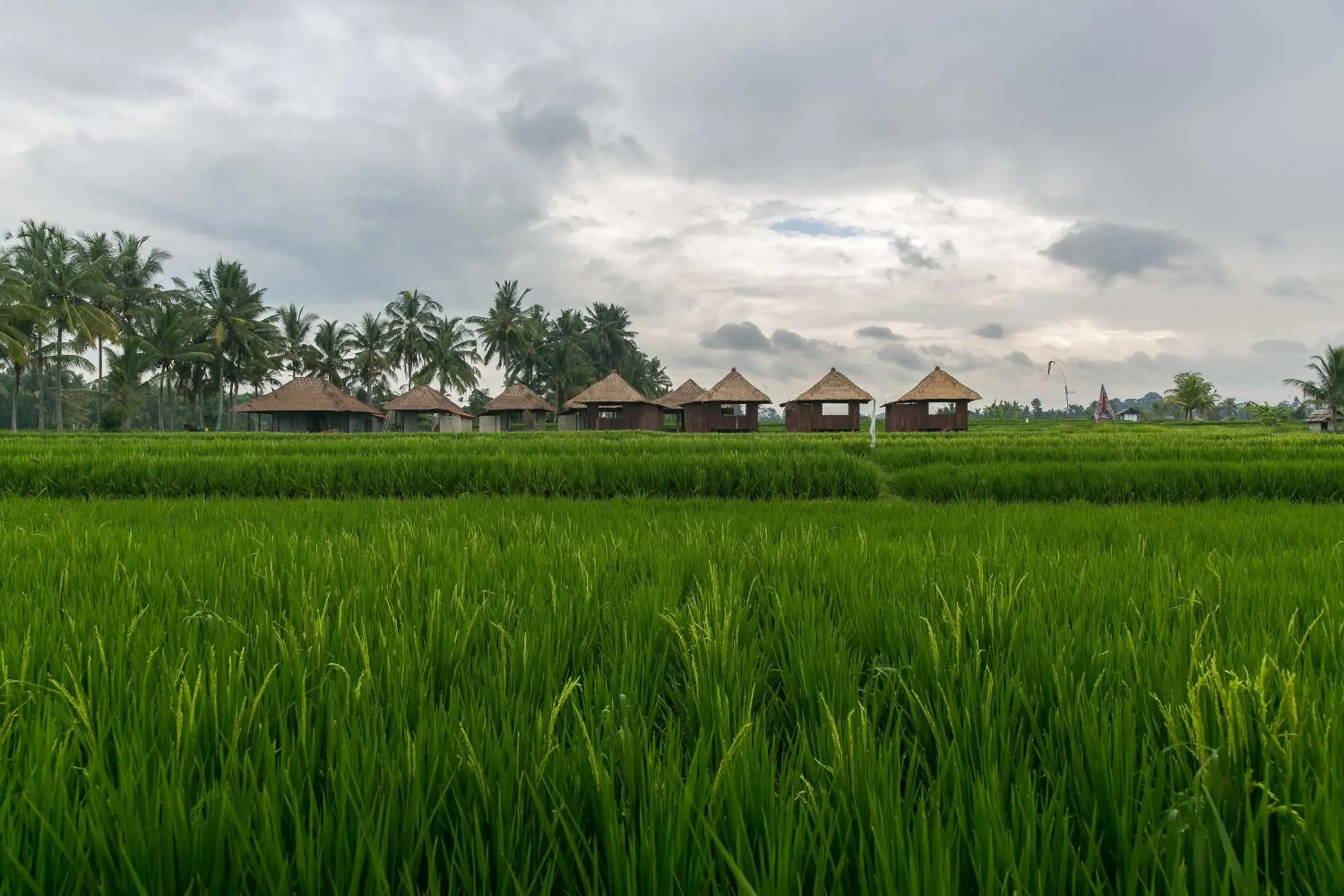 Garden view in Solo Villas & Retreat Garden view in Solo Villas & Retreat