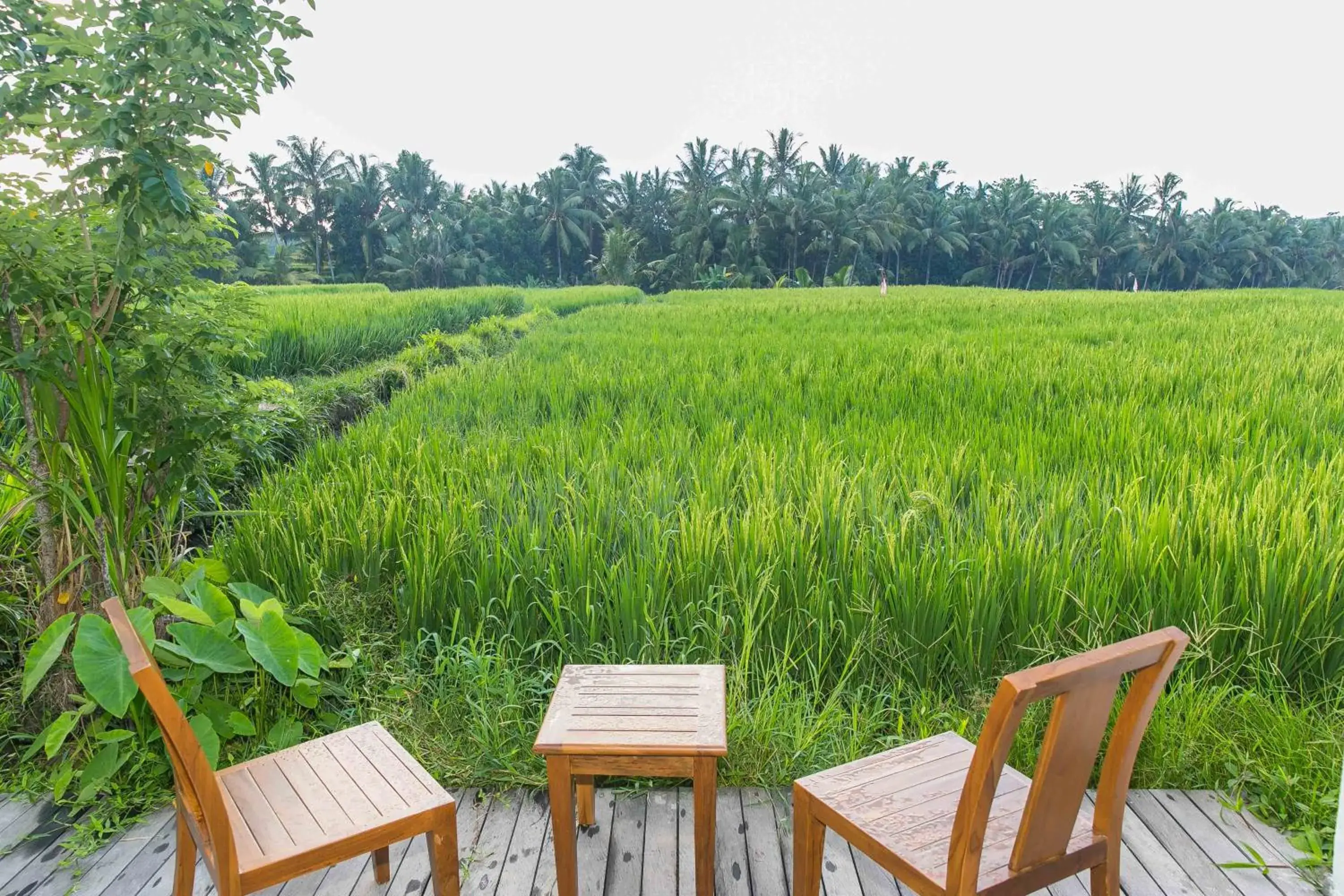 Property building in Solo Villas & Retreat Property building in Solo Villas & Retreat