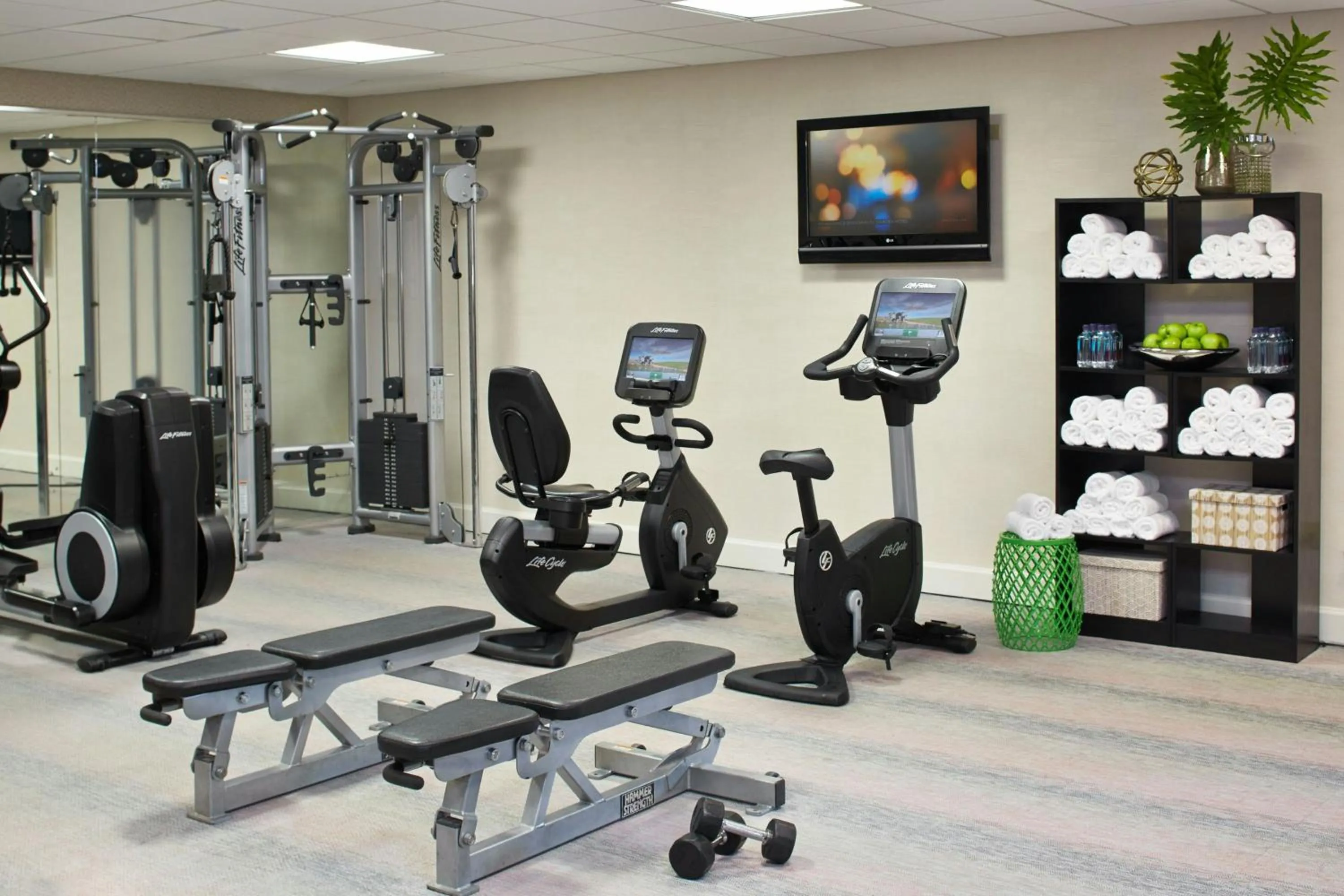 Fitness centre/facilities in Renaissance Orlando Airport Hotel