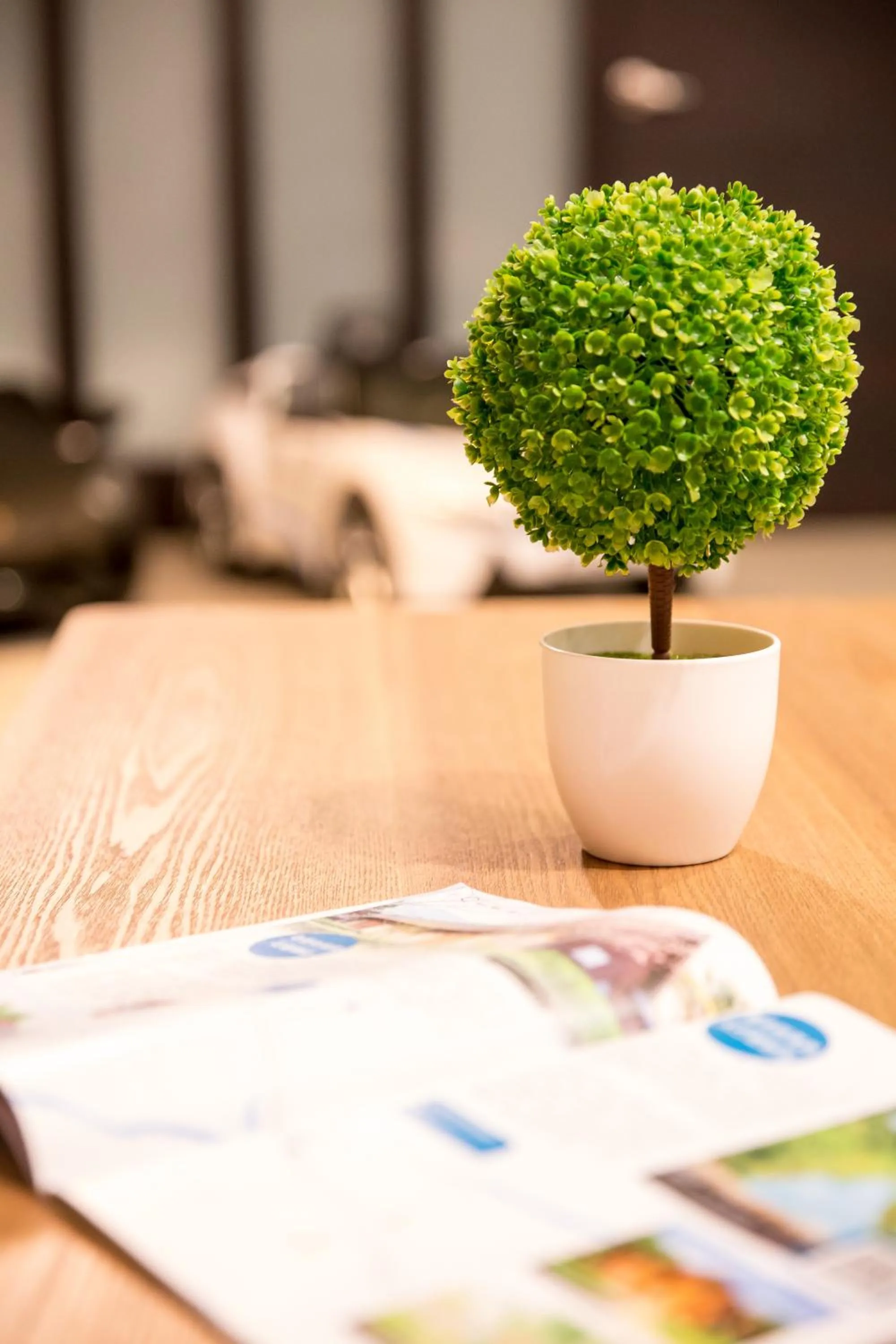 Lobby or reception in BUDDY 35