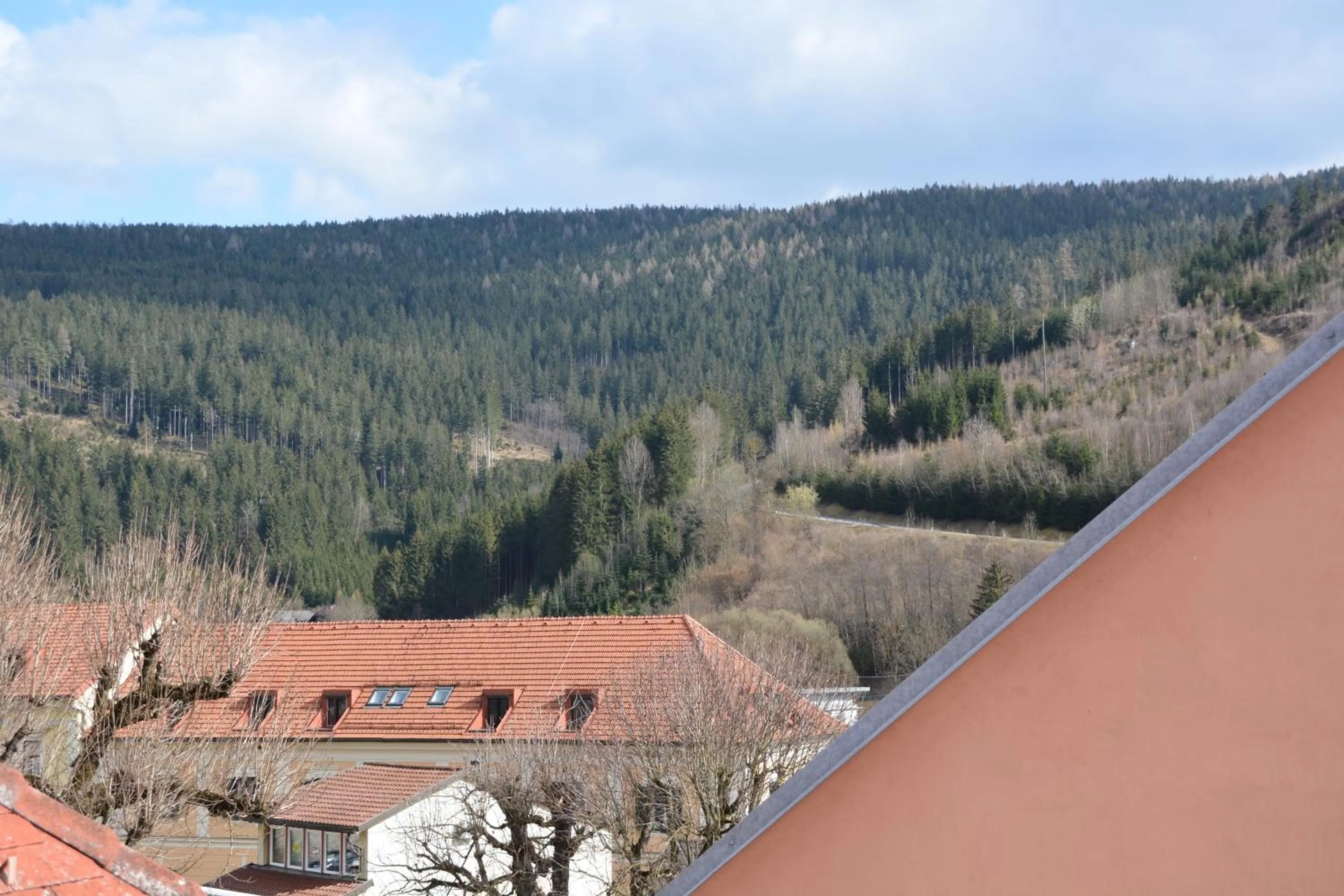 Mountain view in Kronenwirt