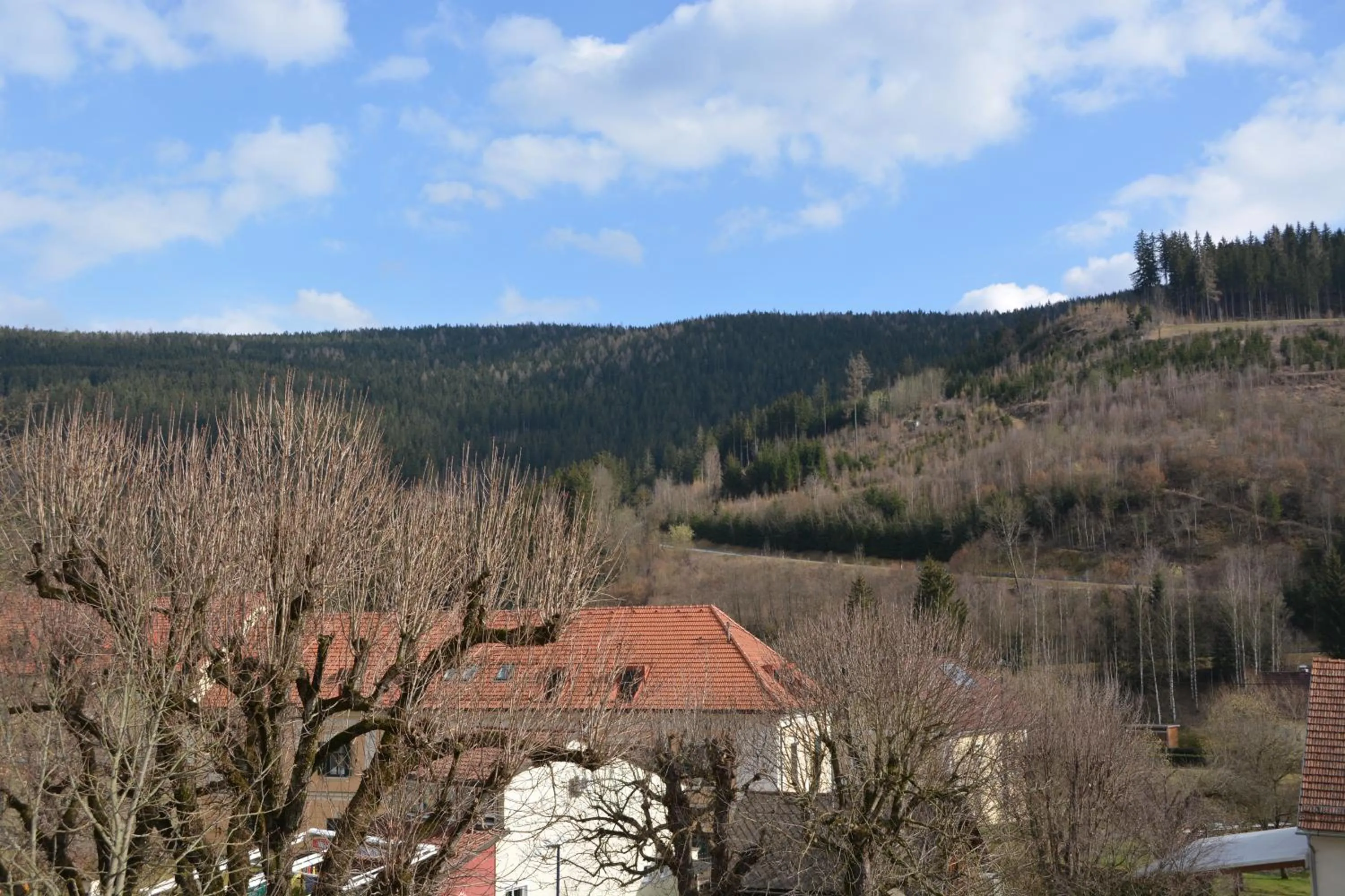 Natural landscape in Kronenwirt