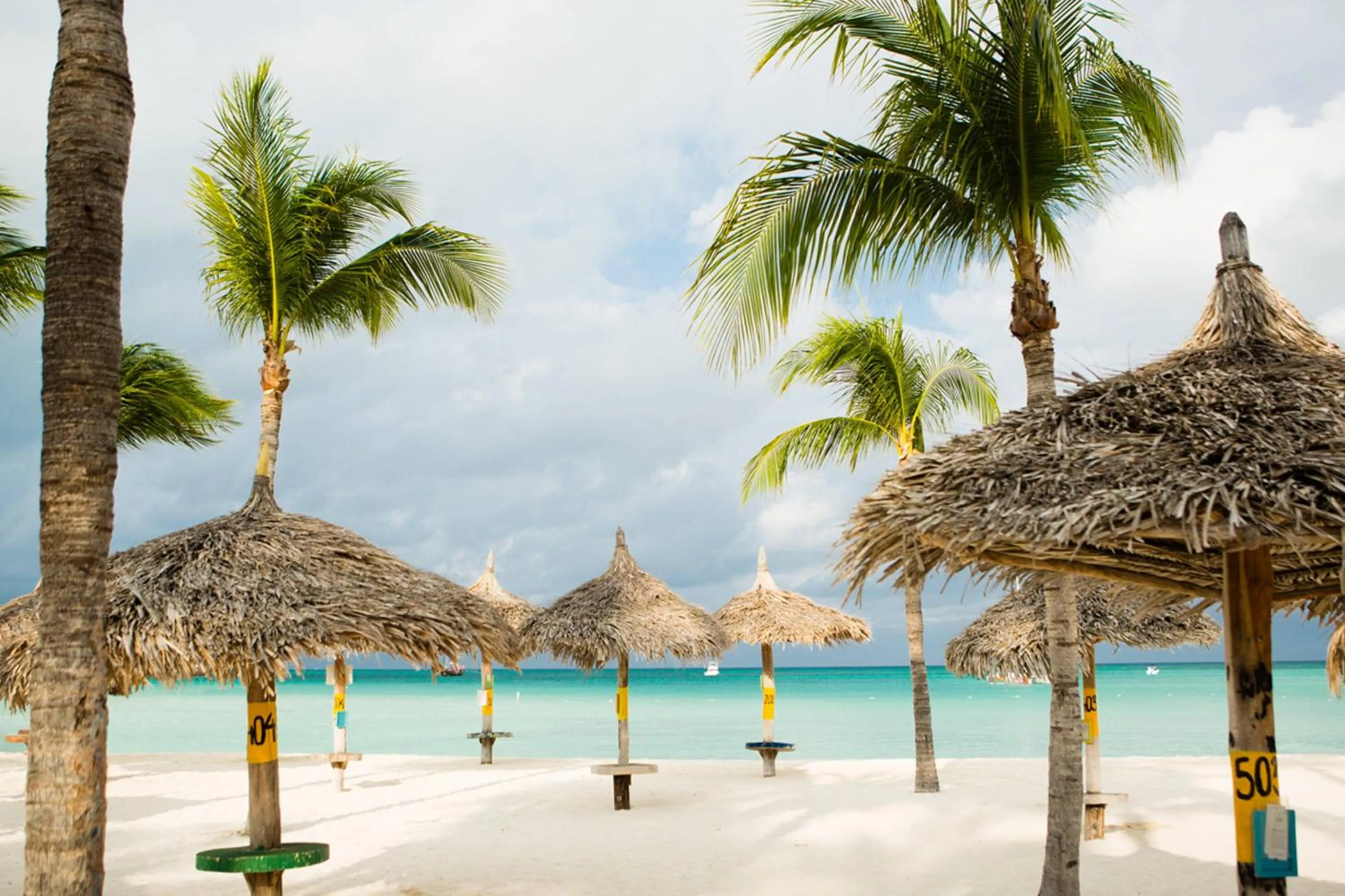 Beach in Aruba Marriott Resort & Stellaris Casino