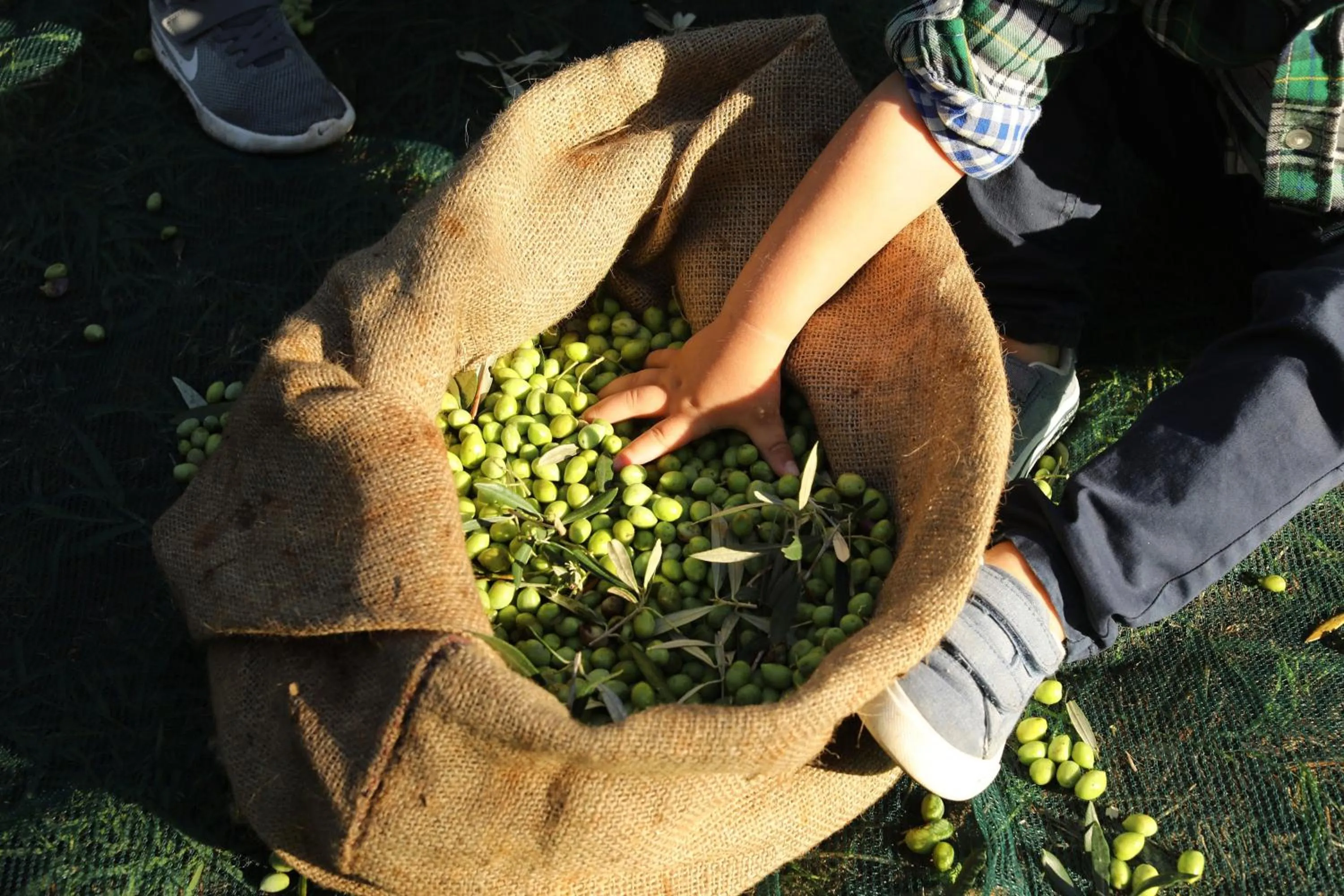 Other in The Romanos, a Luxury Collection Resort, Costa Navarino