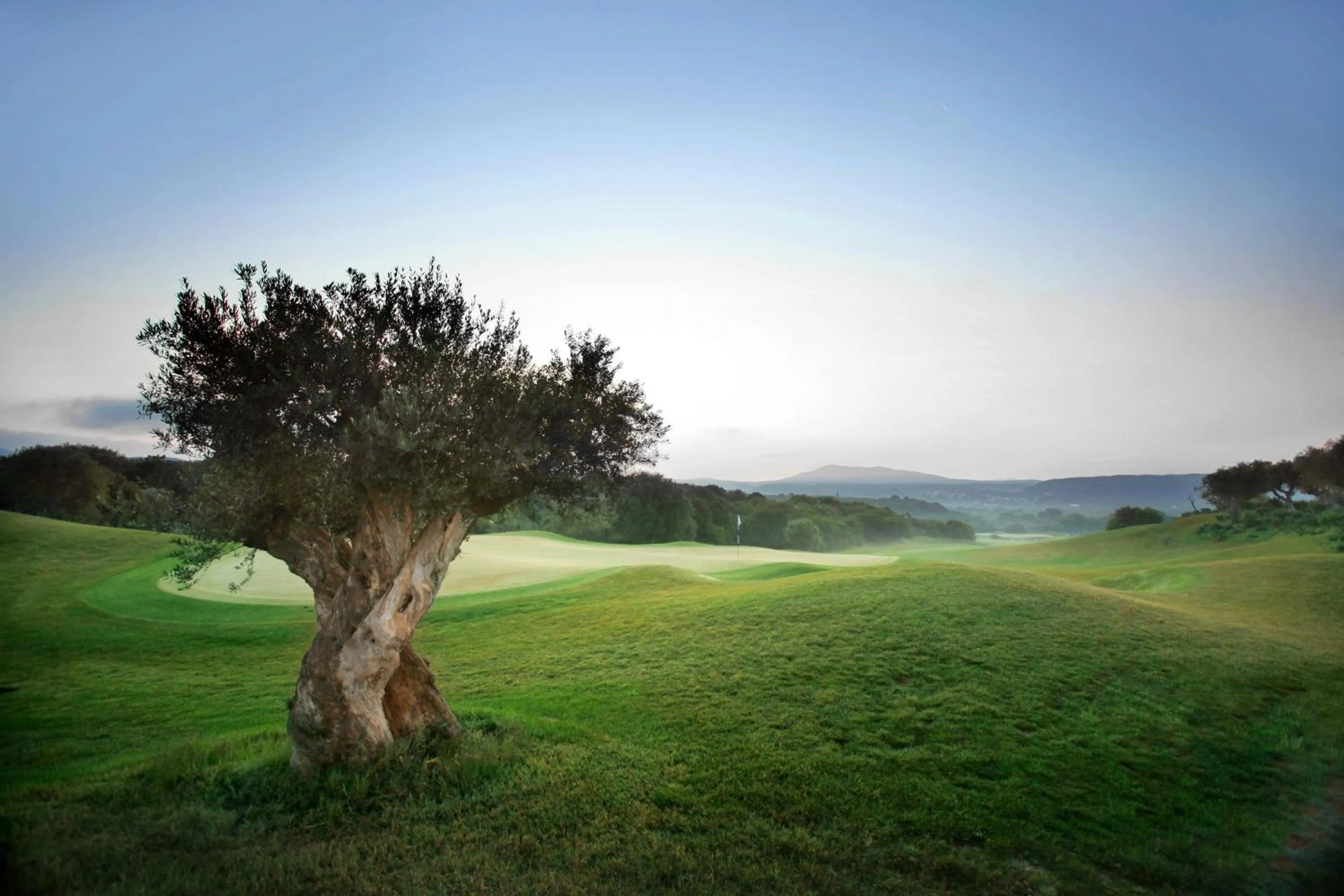 Other in The Westin Resort, Costa Navarino