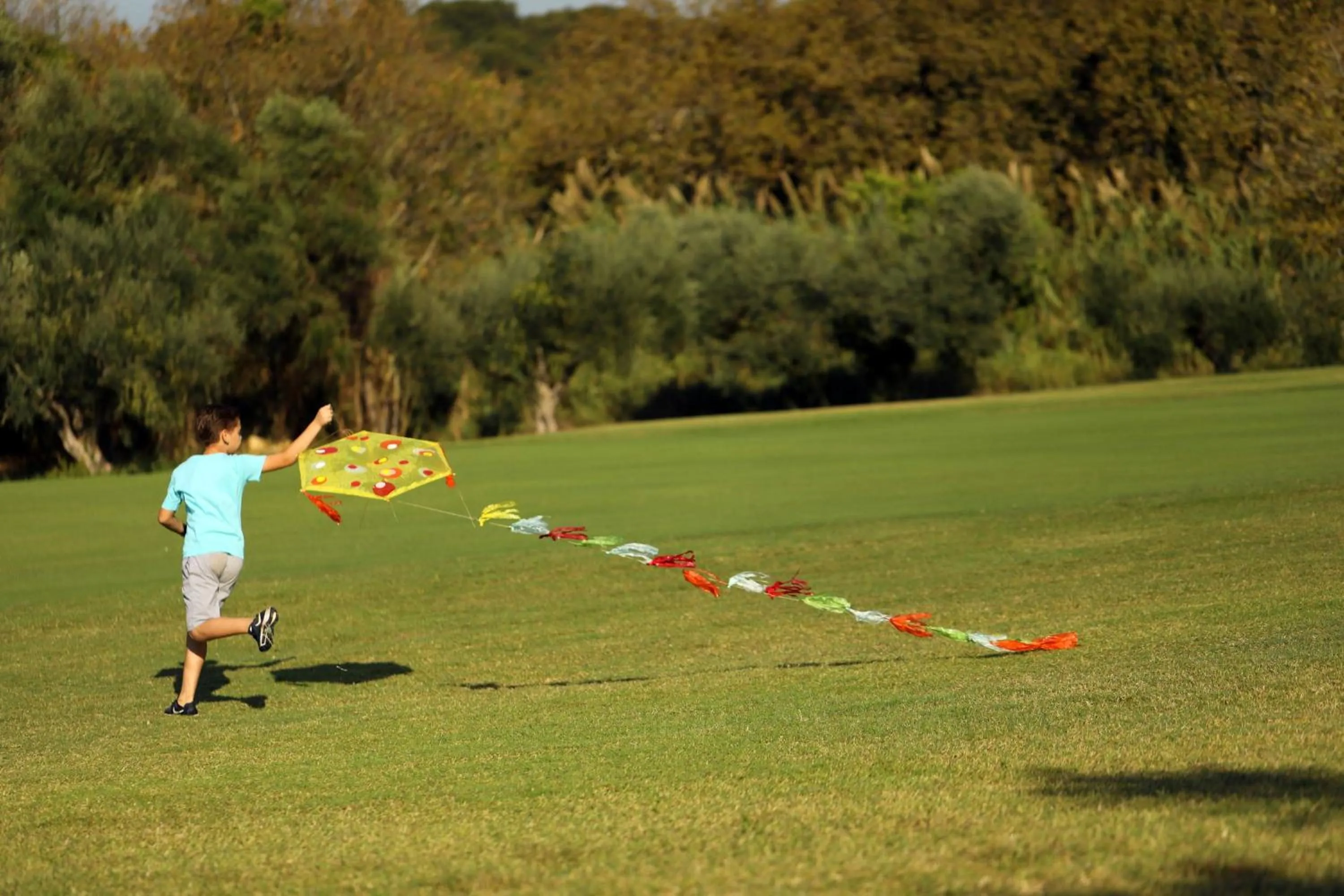 Other in The Westin Resort, Costa Navarino