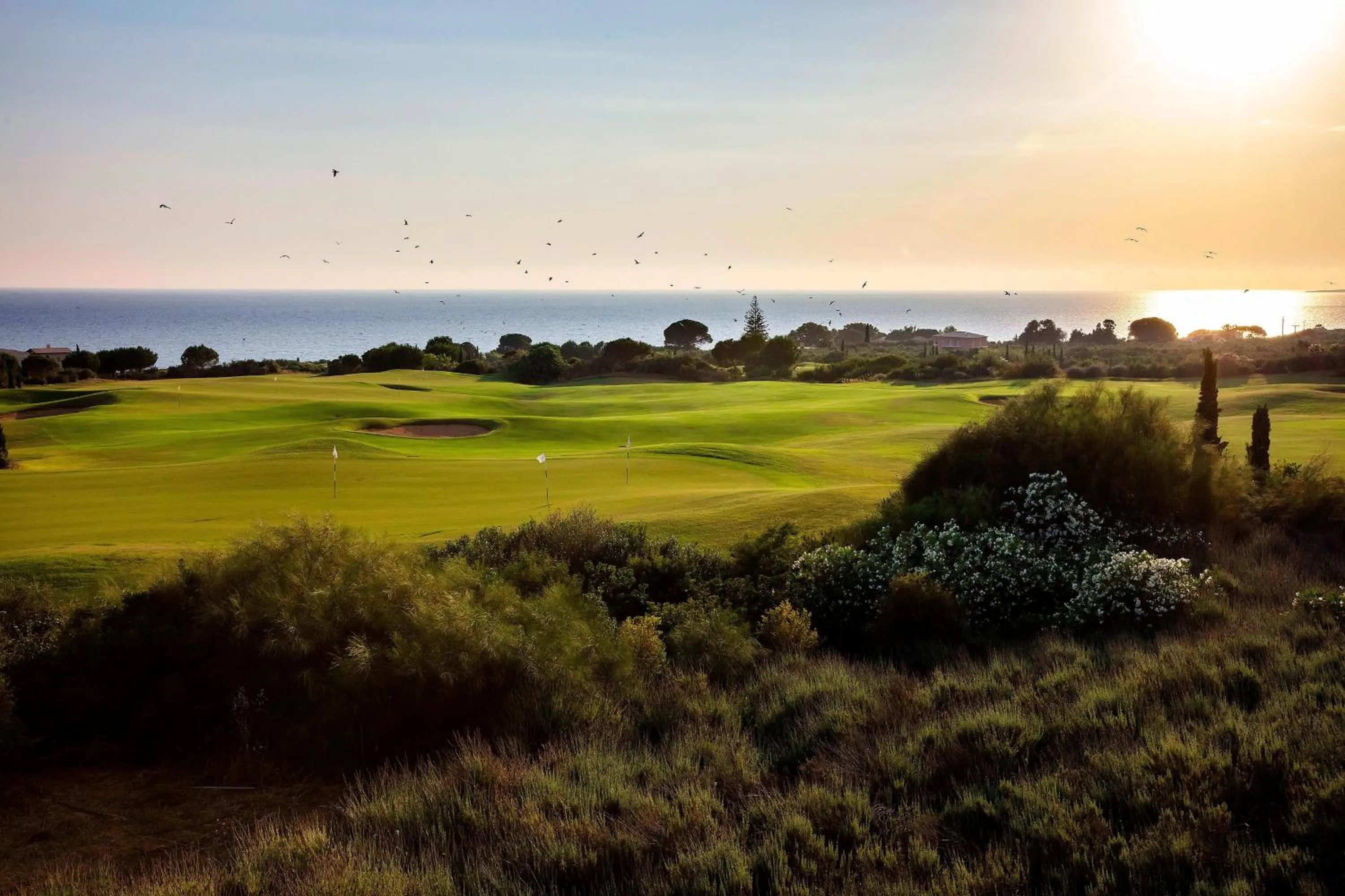 Other in The Westin Resort, Costa Navarino