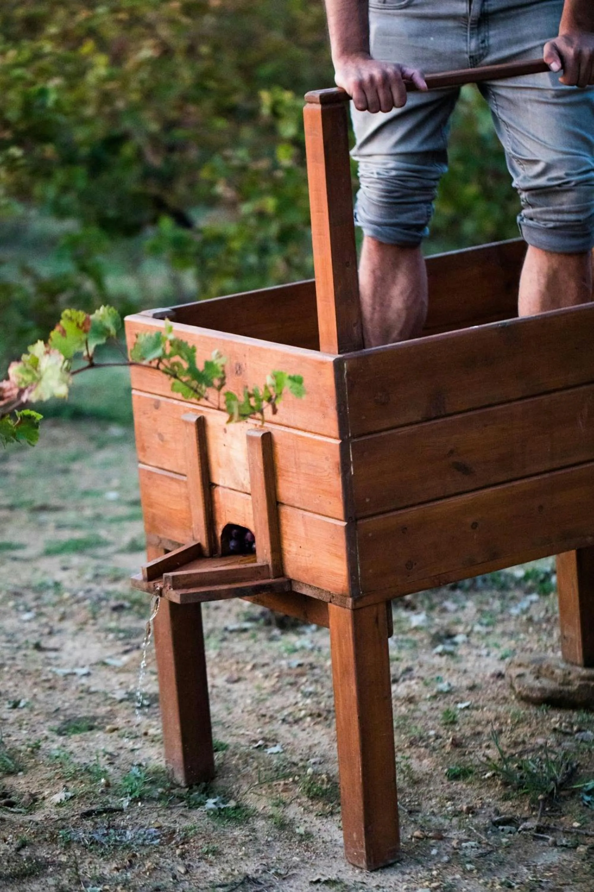 Other in The Westin Resort, Costa Navarino