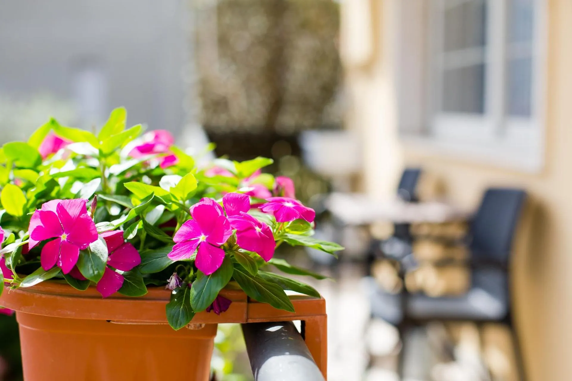 View (from property/room) in B&B Le City