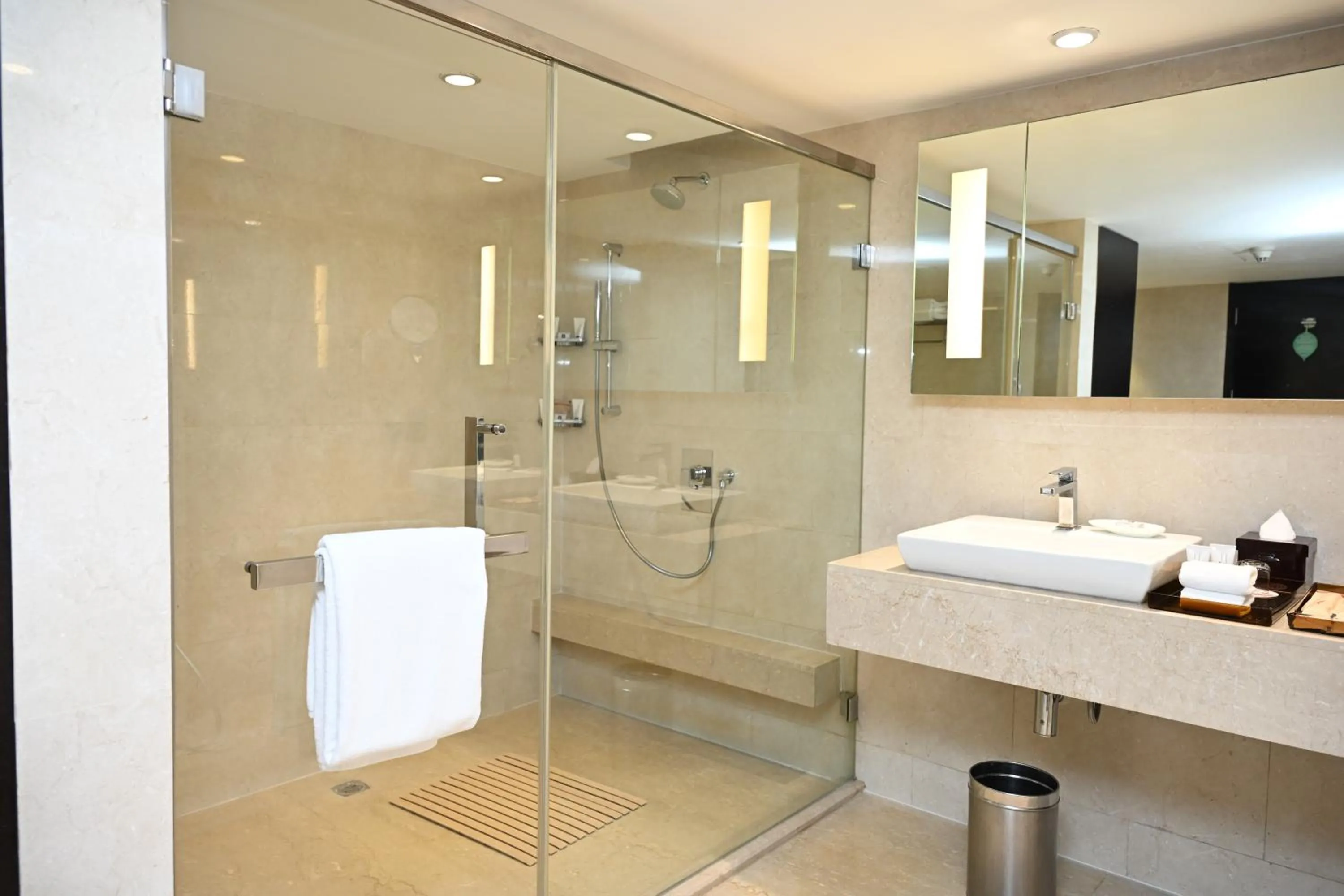 Shower in The LaLiT New Delhi